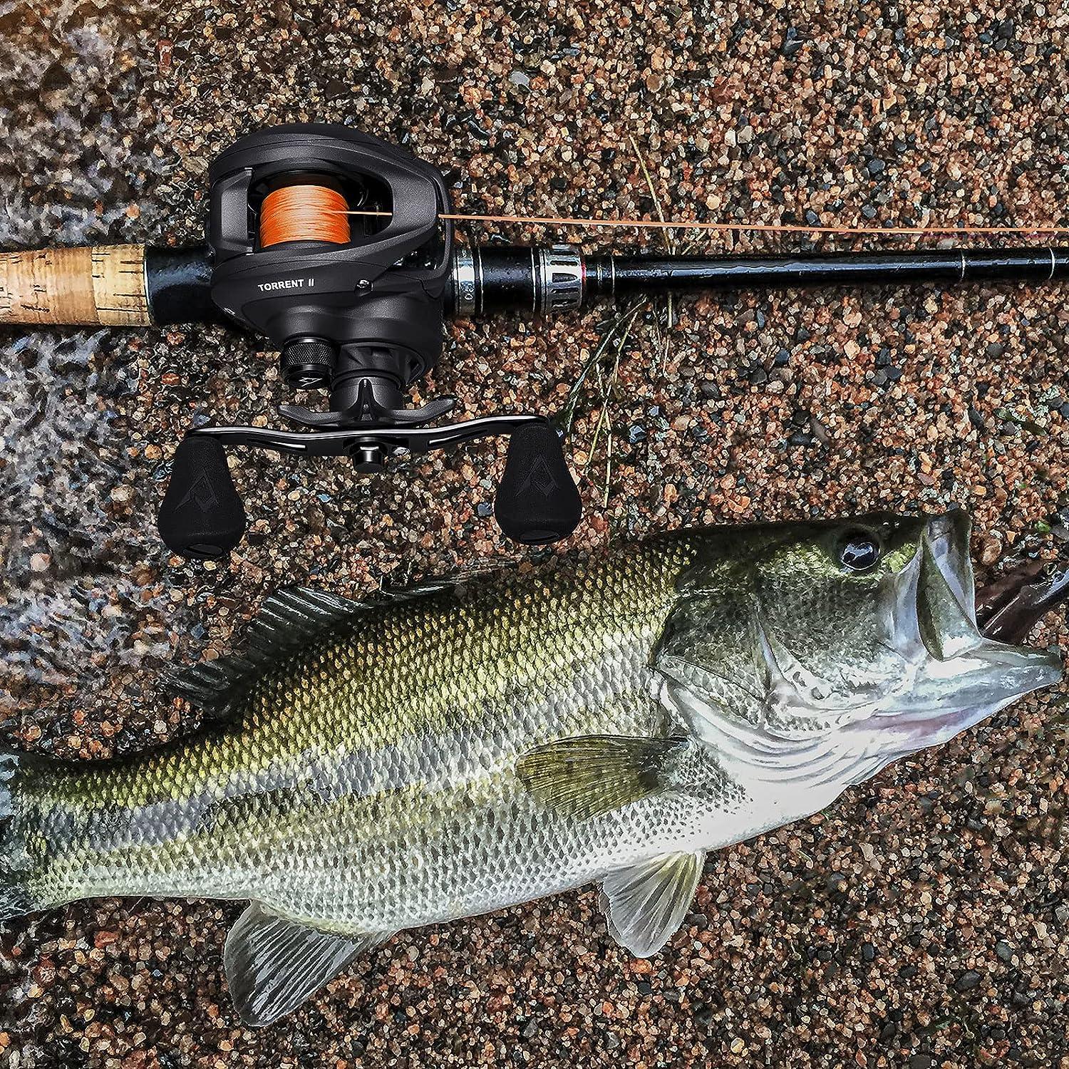 Piscifun Torrent II Baitcasting Reel - 24LB Max Drag, 8.1:1 Gear Ratio,  Magnet Braking System, Right Hand Retrieve - Size 100 | Buy Now with  Express International Delivery | GoSupps.com