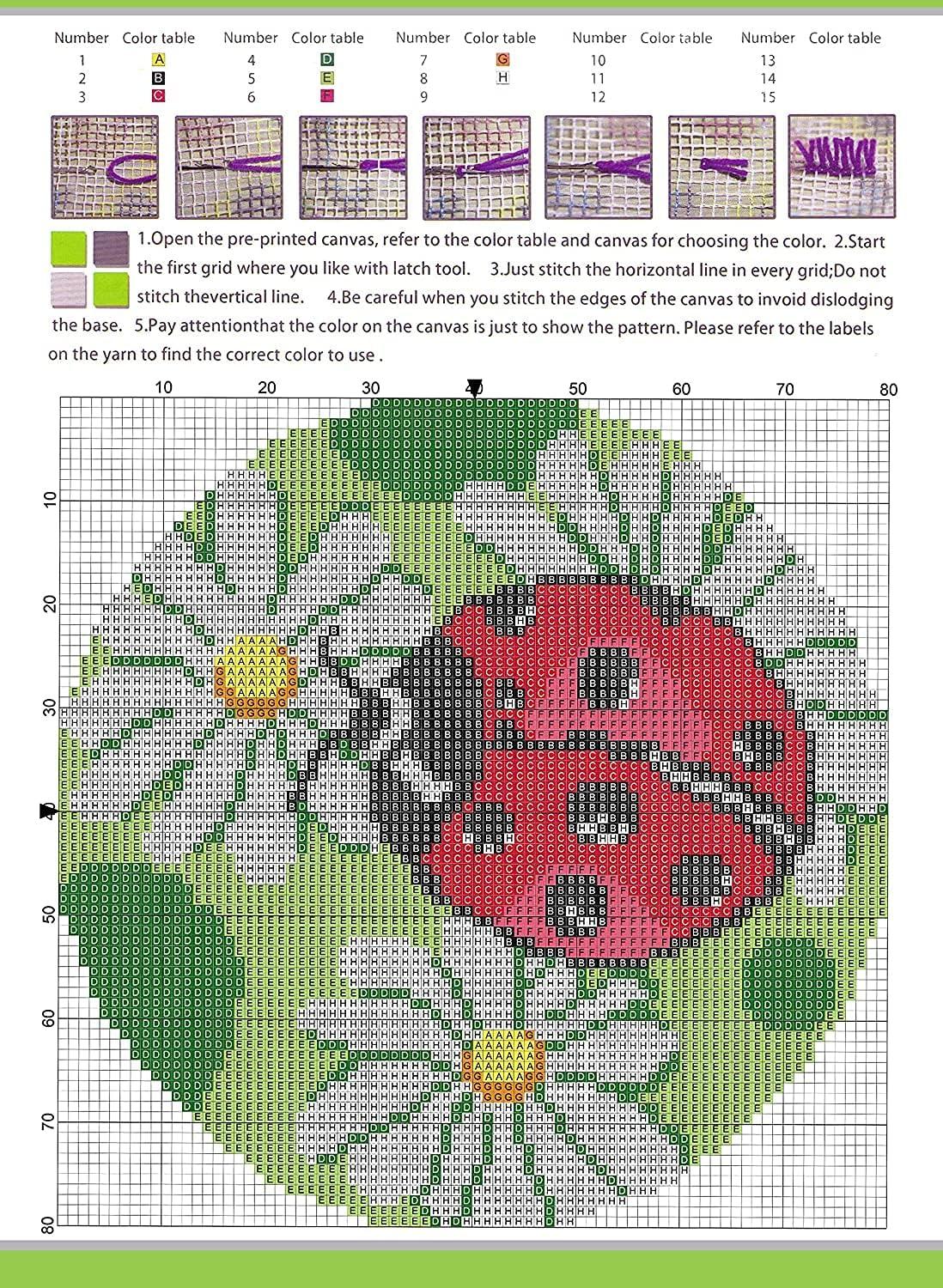 Latch Hook Kit Rug Pattern Beyond Your Thoughts Animal Ladybug 025