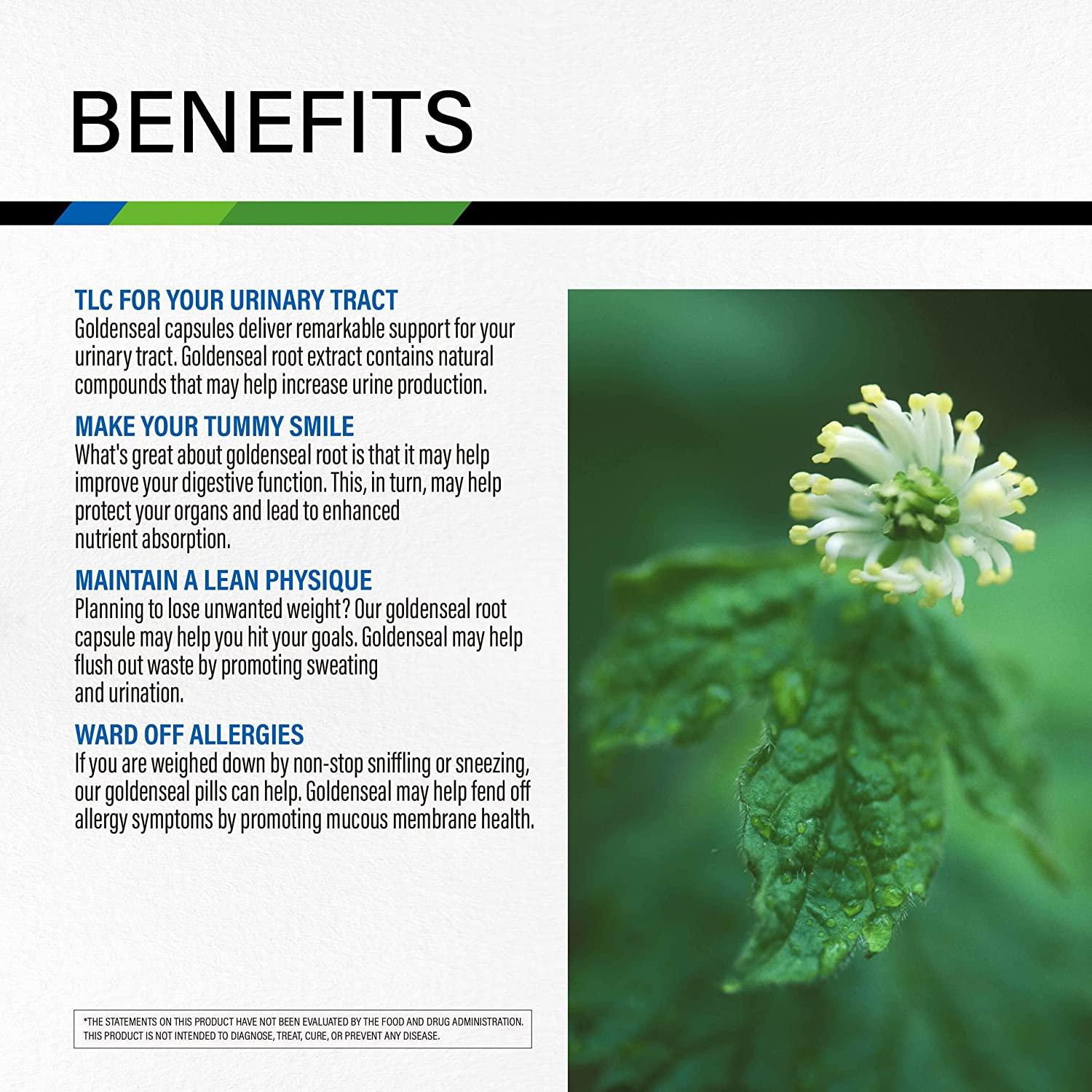 Goldenseal Capsules Food Supplement to Support Digestive Function