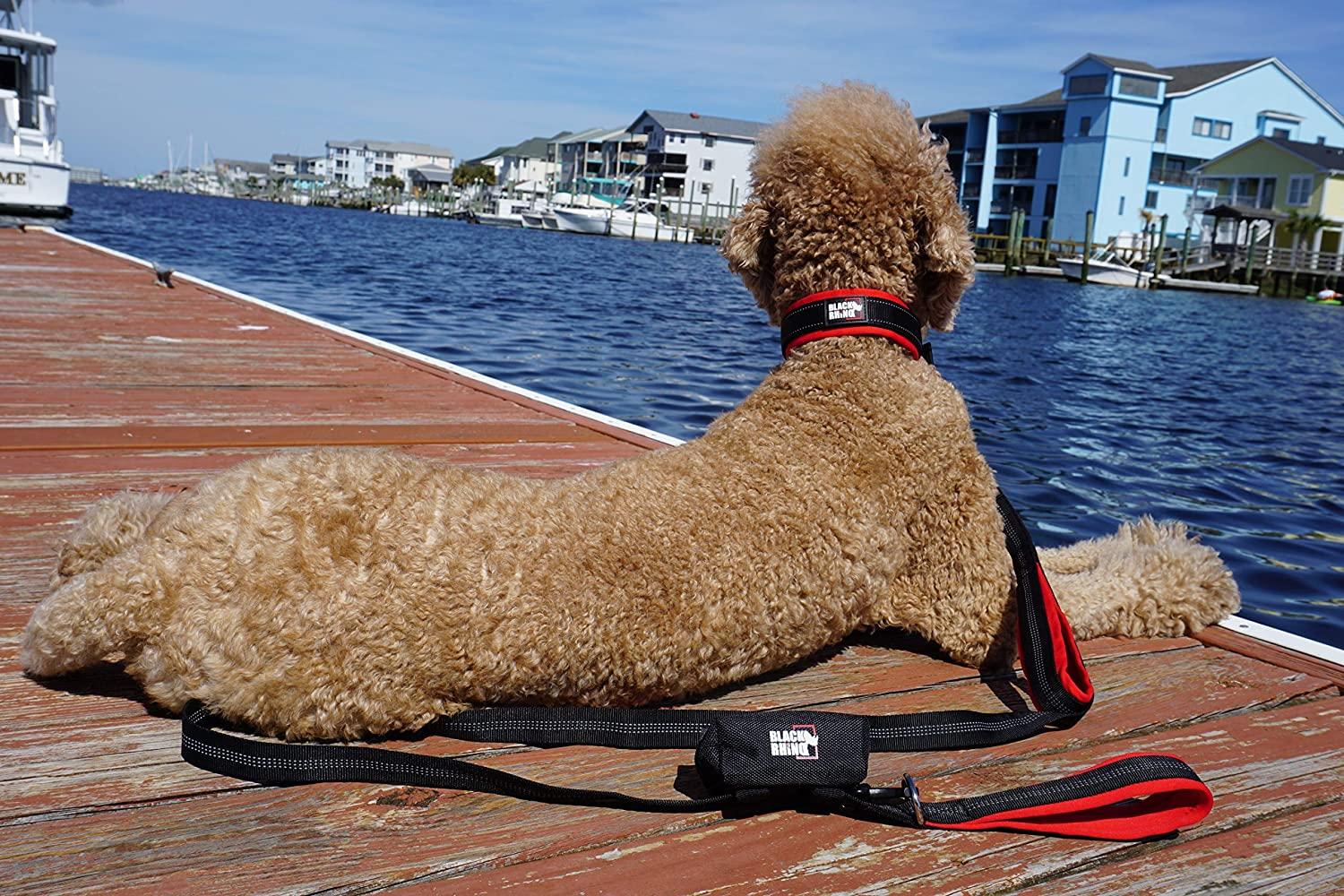Black rhino shop dog harness