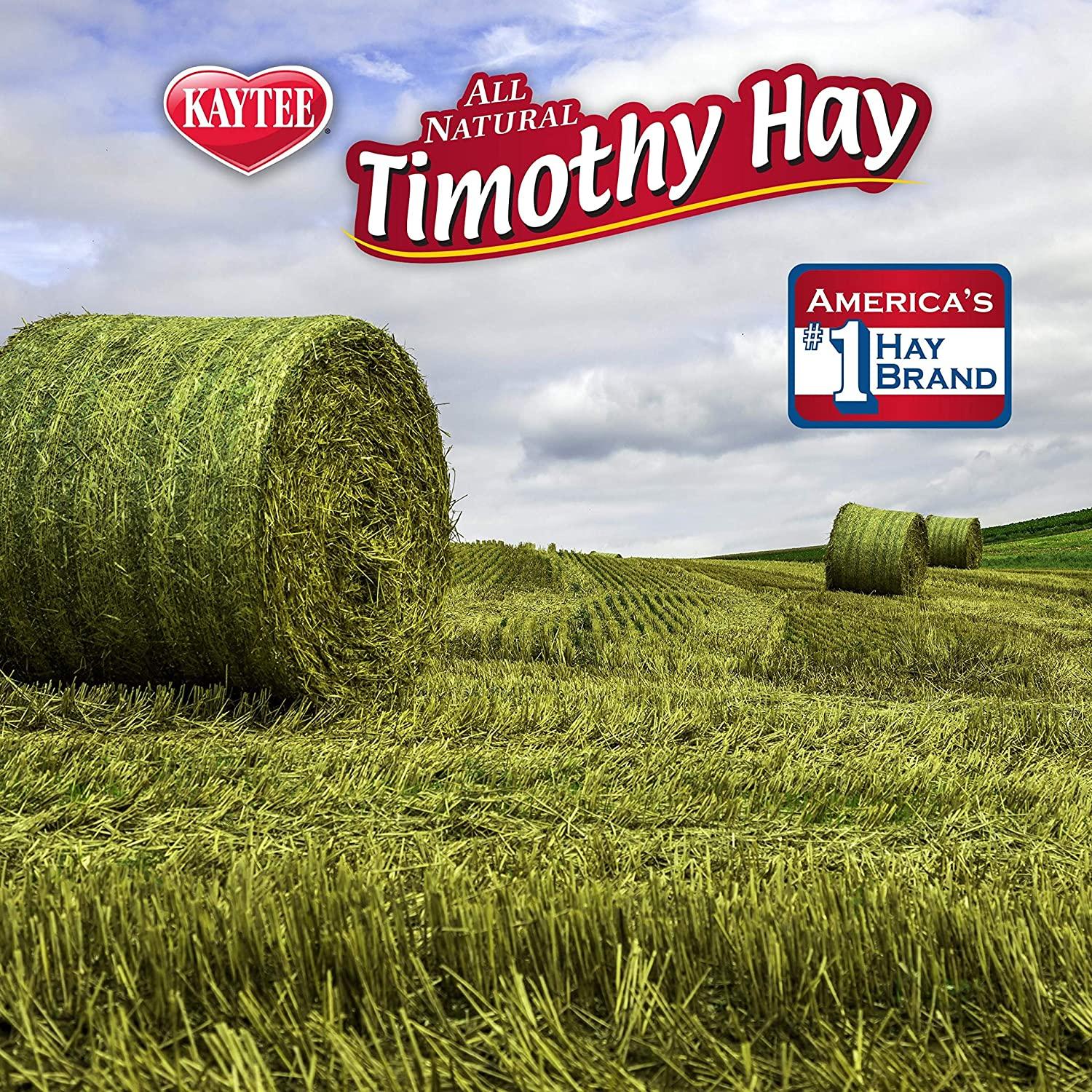 Buy Kaytee Timothy Hay Plus 24 oz Premium Small Animal Food