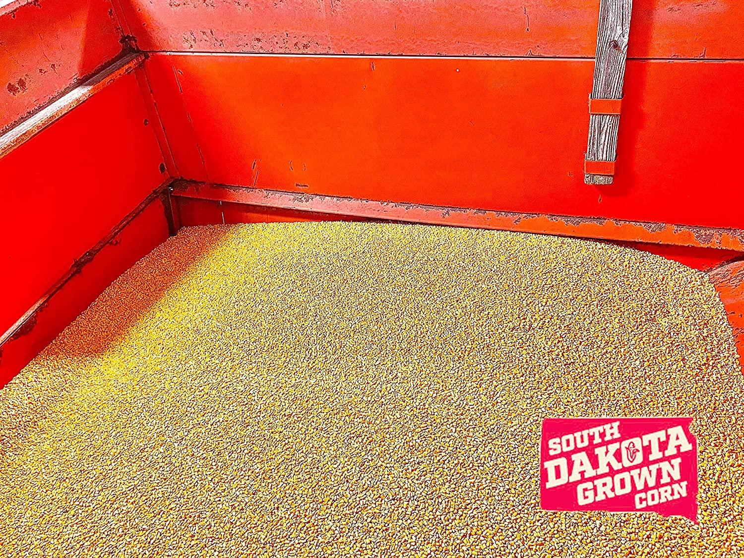 Natural Dakota Whole Corn Feed 3lb South Dakota Grown for Birds, Deer