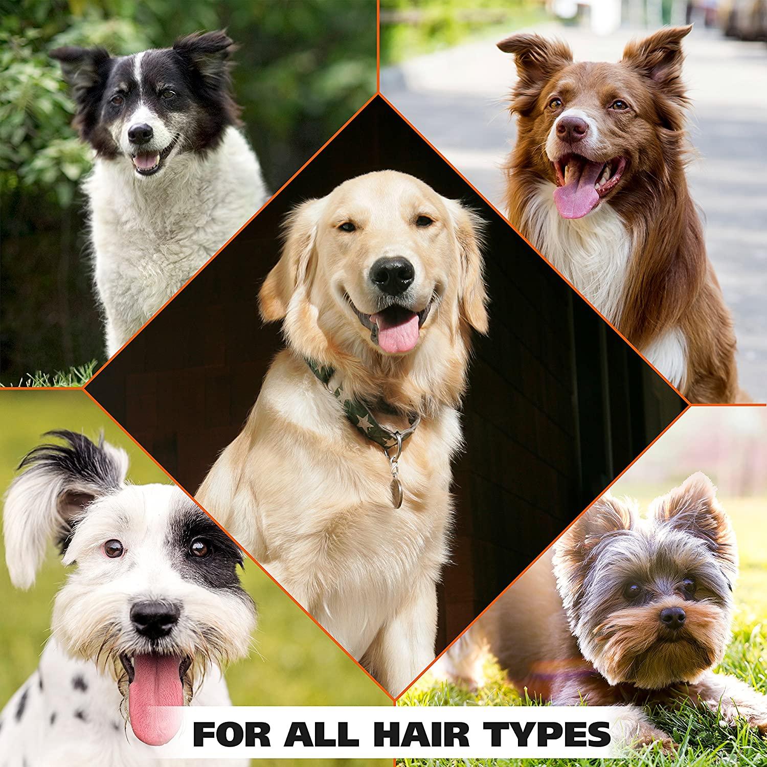 Wahl top doggie deodorant