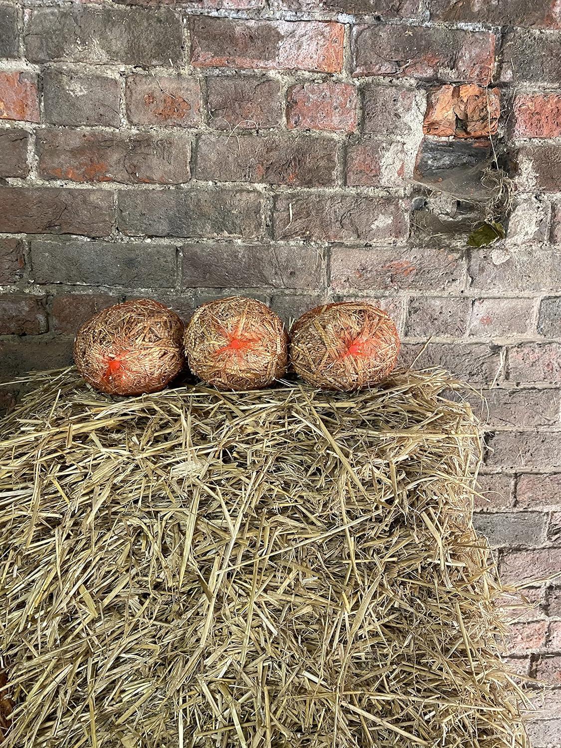 Barley straw for ponds Barley straw treatment Extract and treat