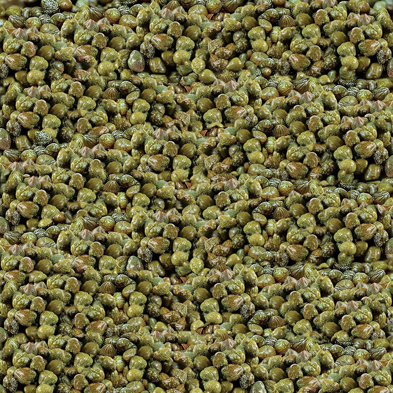 Paesana Non Pareil Capers 32 oz Packed in the USA 32 Fl Oz (Pack of 1)