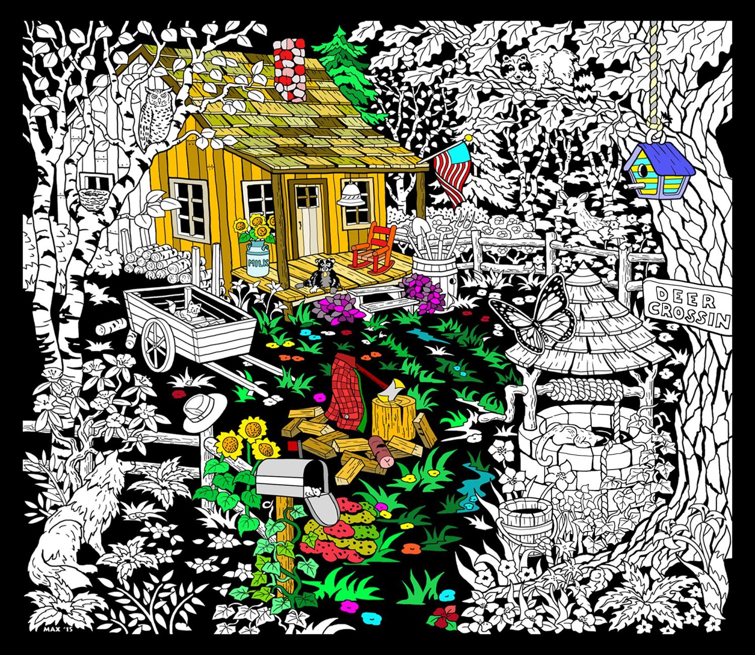 Cabin Well - 23x20 Fuzzy Velvet Detailed Coloring Poster