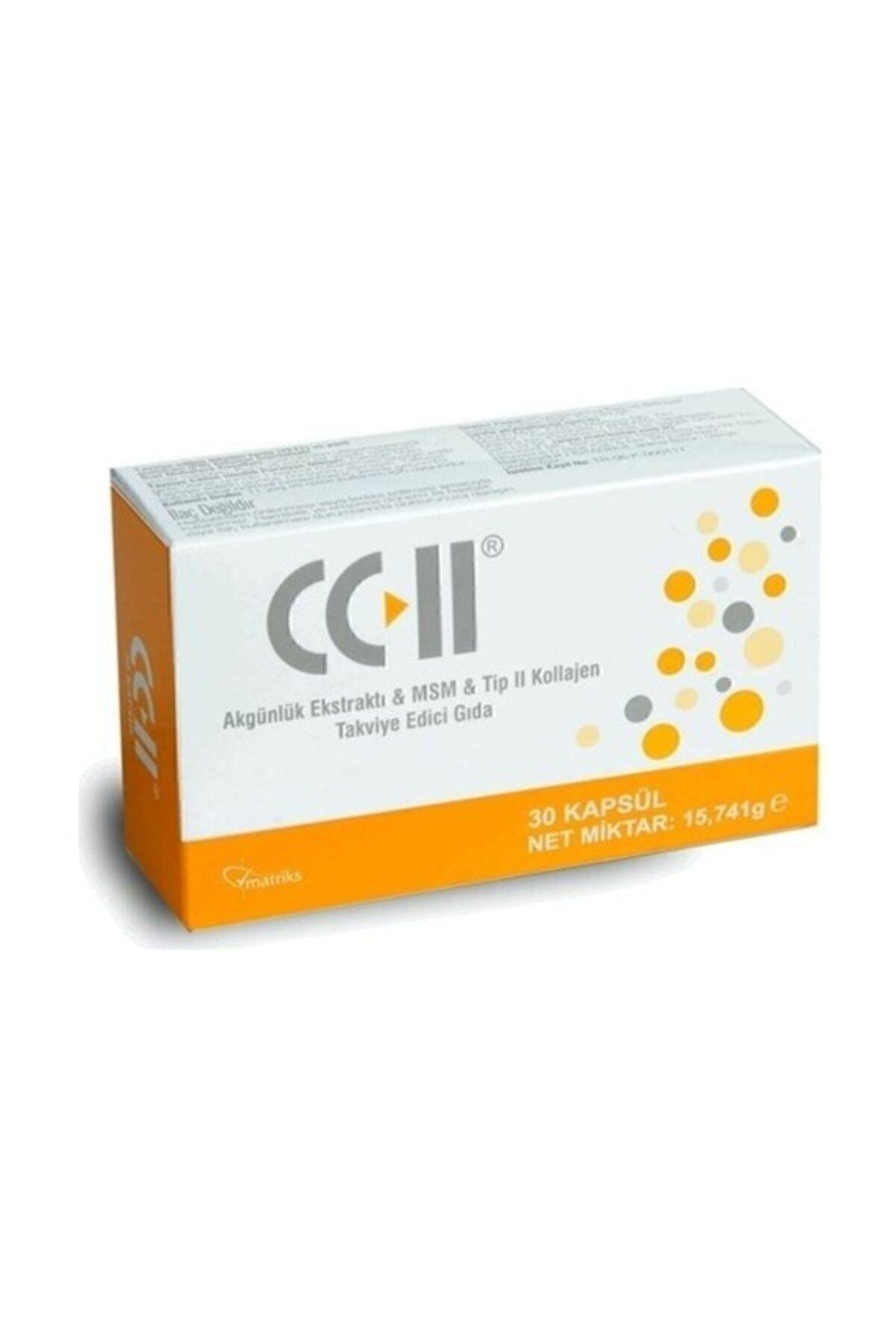 Matrix Cc-ii Collagen Boswellia And Msm Cc2 Tab | Buy Now with Express ...