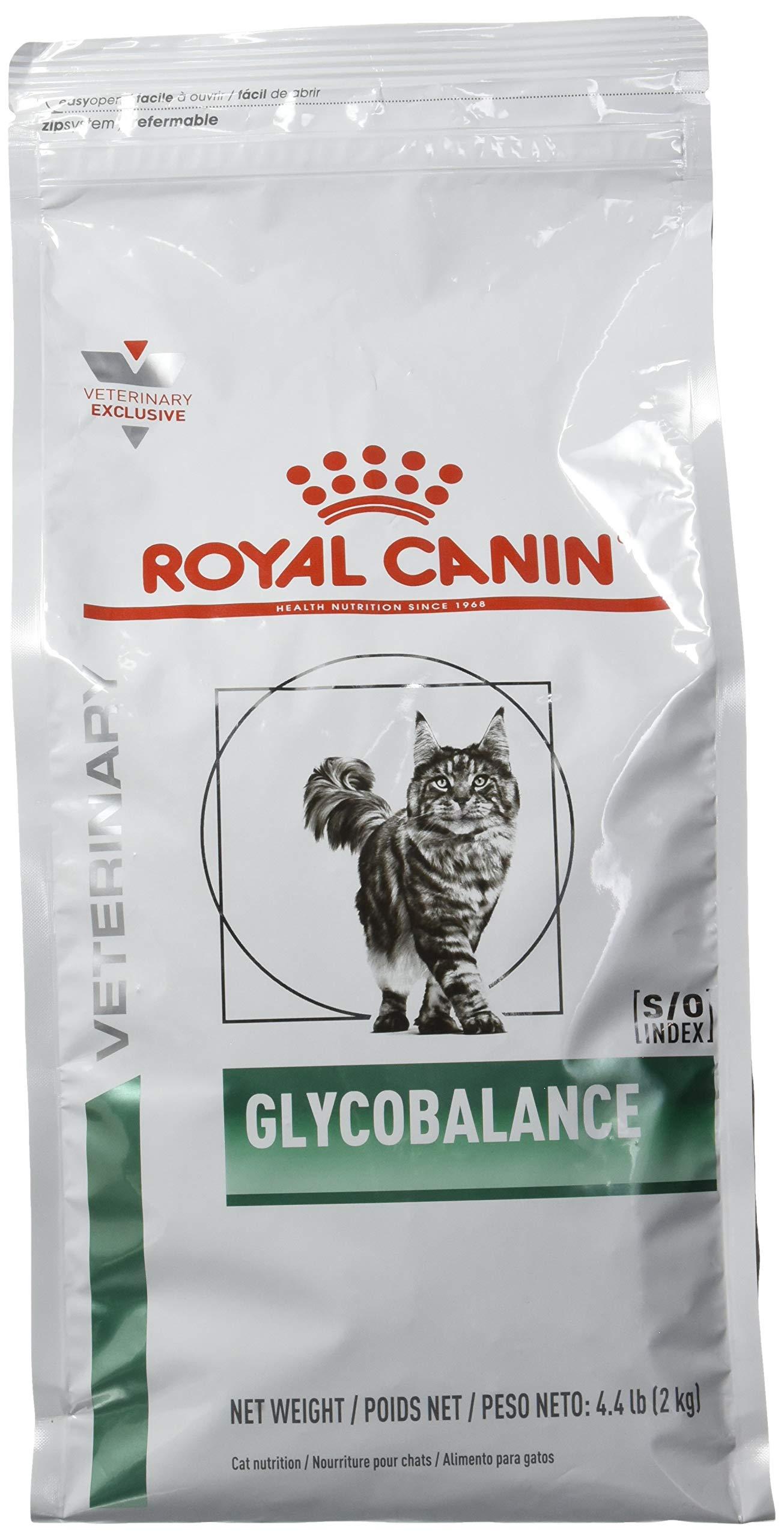 ROYAL CANIN Feline Glycobalance Dry Cat Food (4.4 lb) - Balanced Nutrition  for Cats with Blood Sugar Management Needs | Buy Now with Express  International Delivery | GoSupps.com