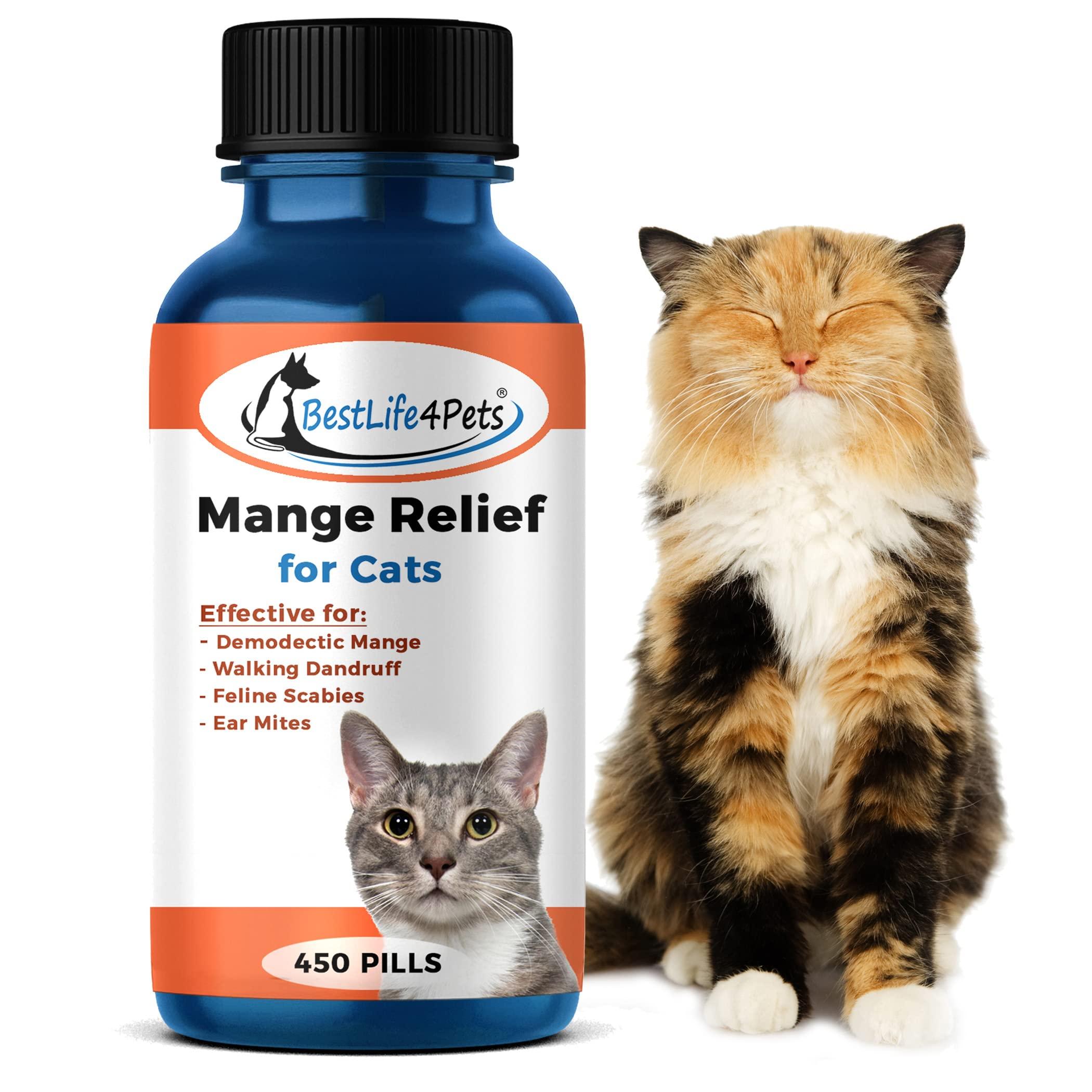 Demodectic Mange Feline Mange Treatment Demodectic Mange Mites