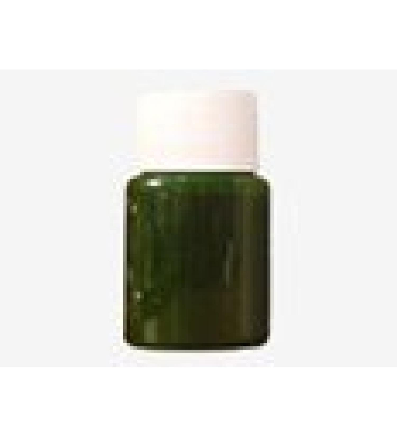 Bodypainting for one week - green