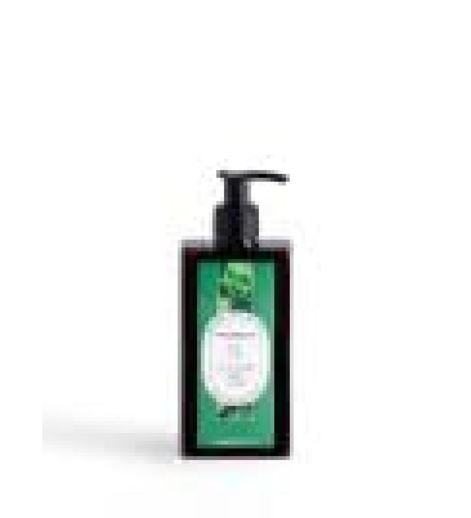 Body Milk Green Tea 250ml - Italian Import | Hydrating Skin Care | Shop Now - Buy Online on GoSupps.com