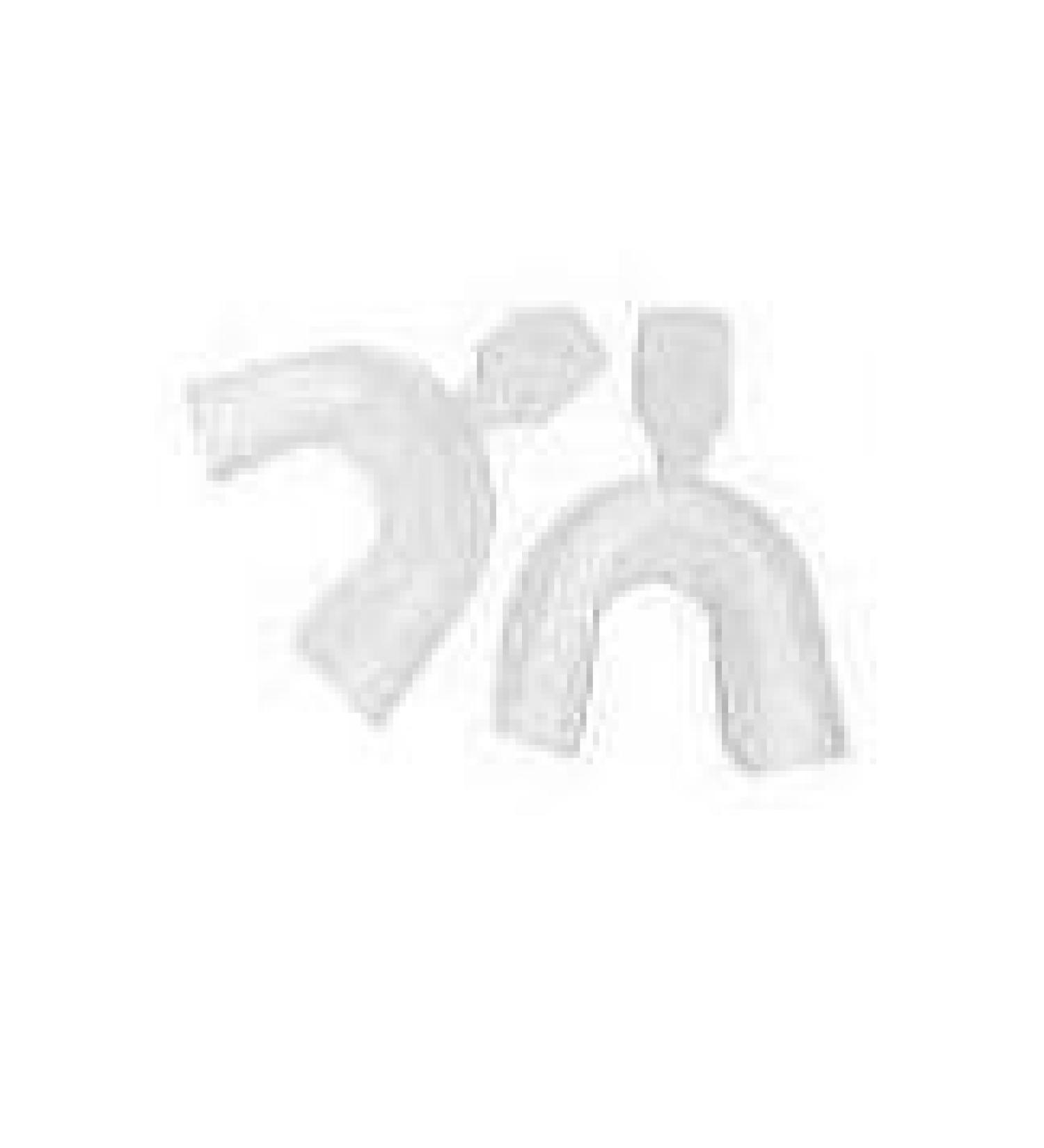 D.I.Y. One Pair of Moldable Thermoforming Mouth Trays(upper and lower)with Shade Card