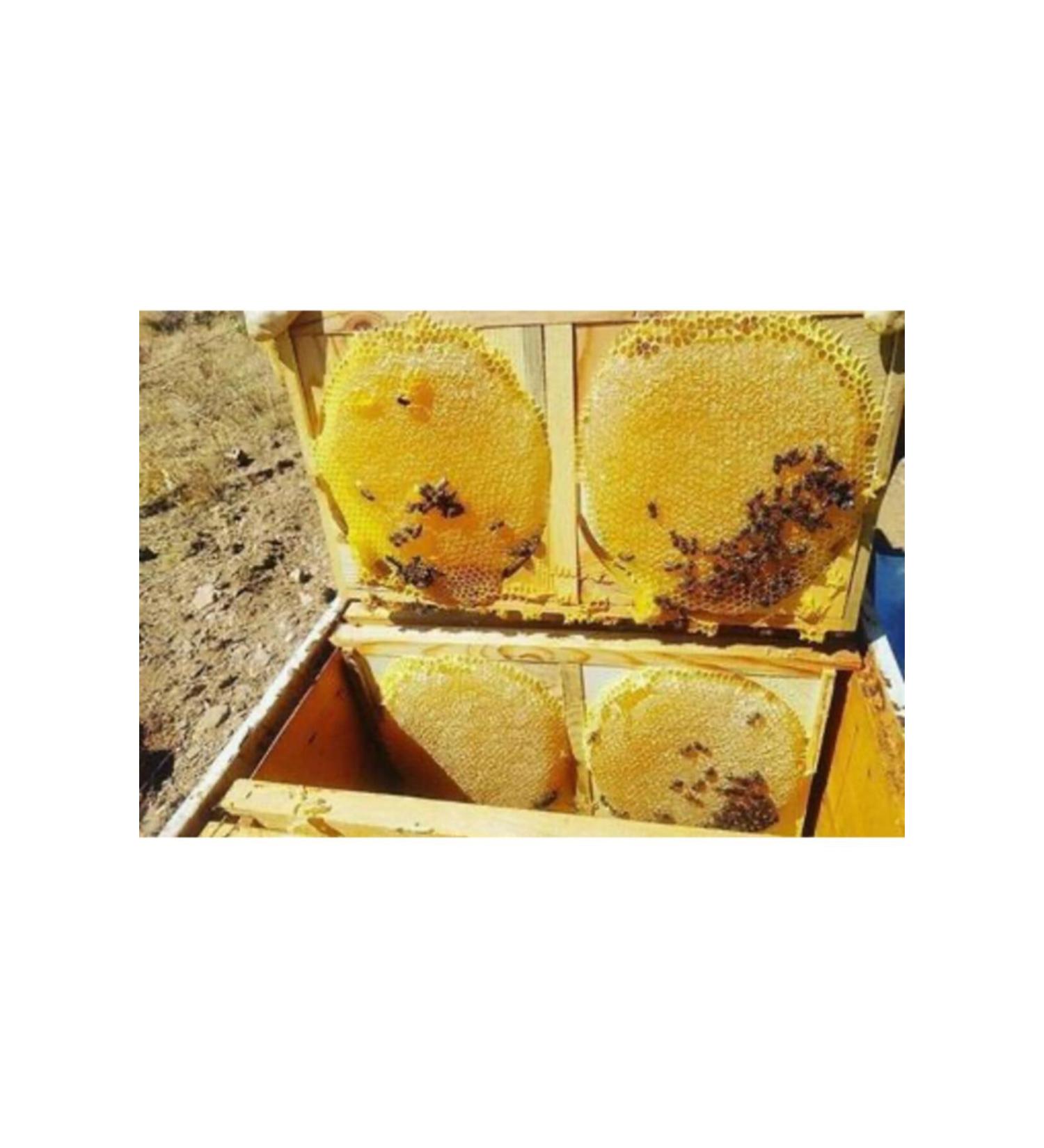 BALCI SEM H Karakovan Honey 3 Kg