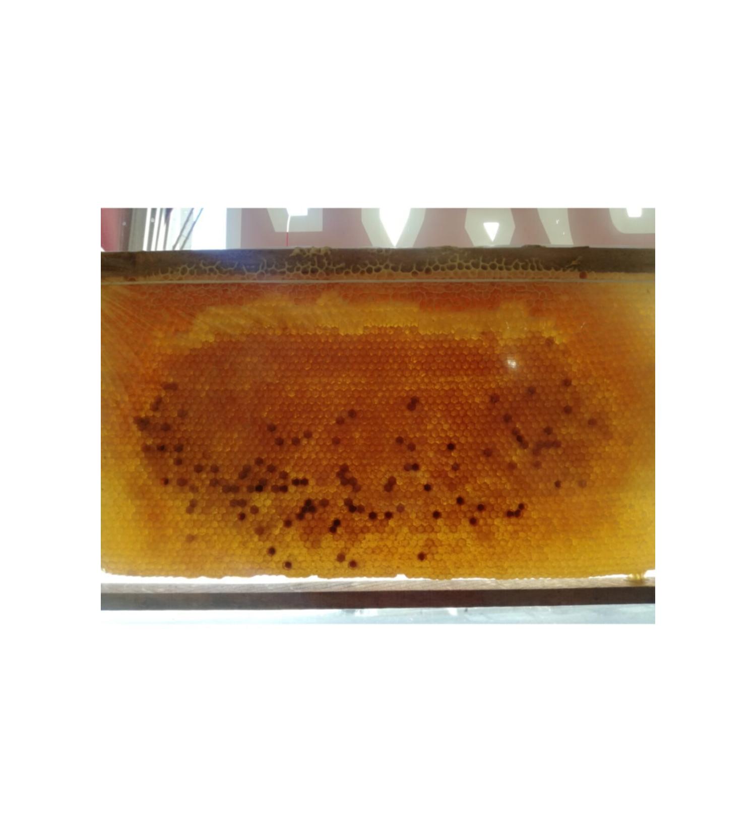 OZMU HONEY Pollen Honeycomb 3kg