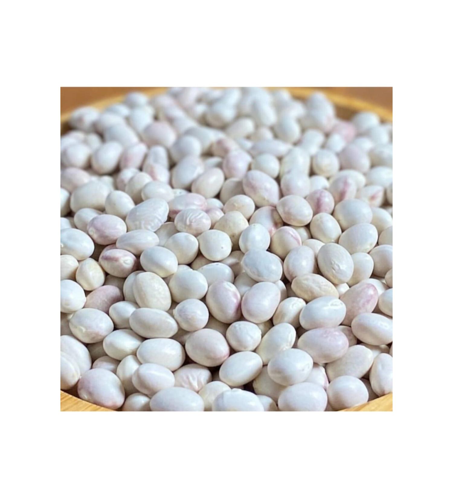 Famous Genuine Ispir Beans 1 Kg - Buy Online on GoSupps.com