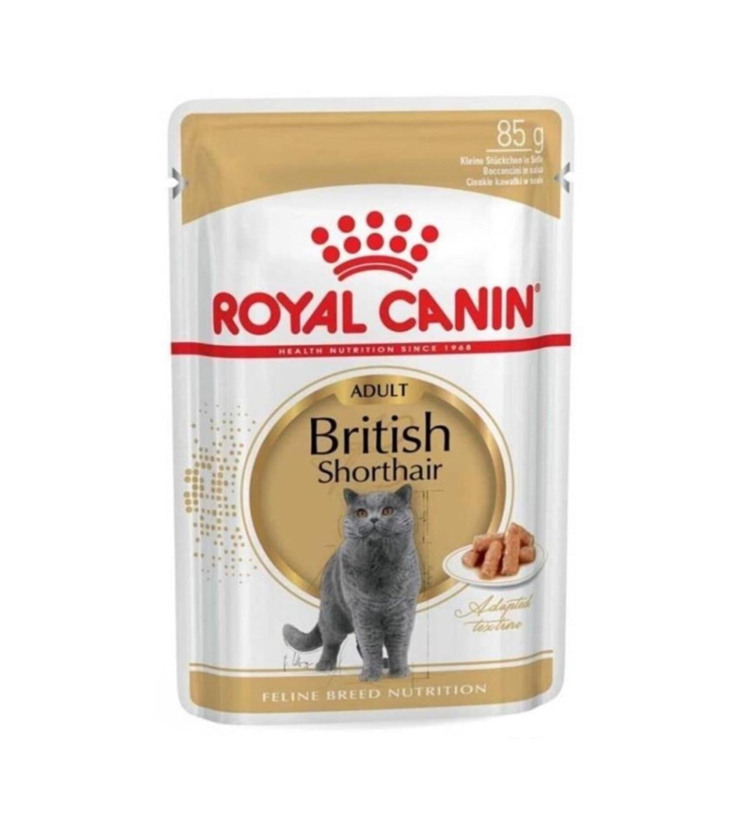Royal Canin British Shorthair Wet Cat Food 85 Gr 12 Pieces