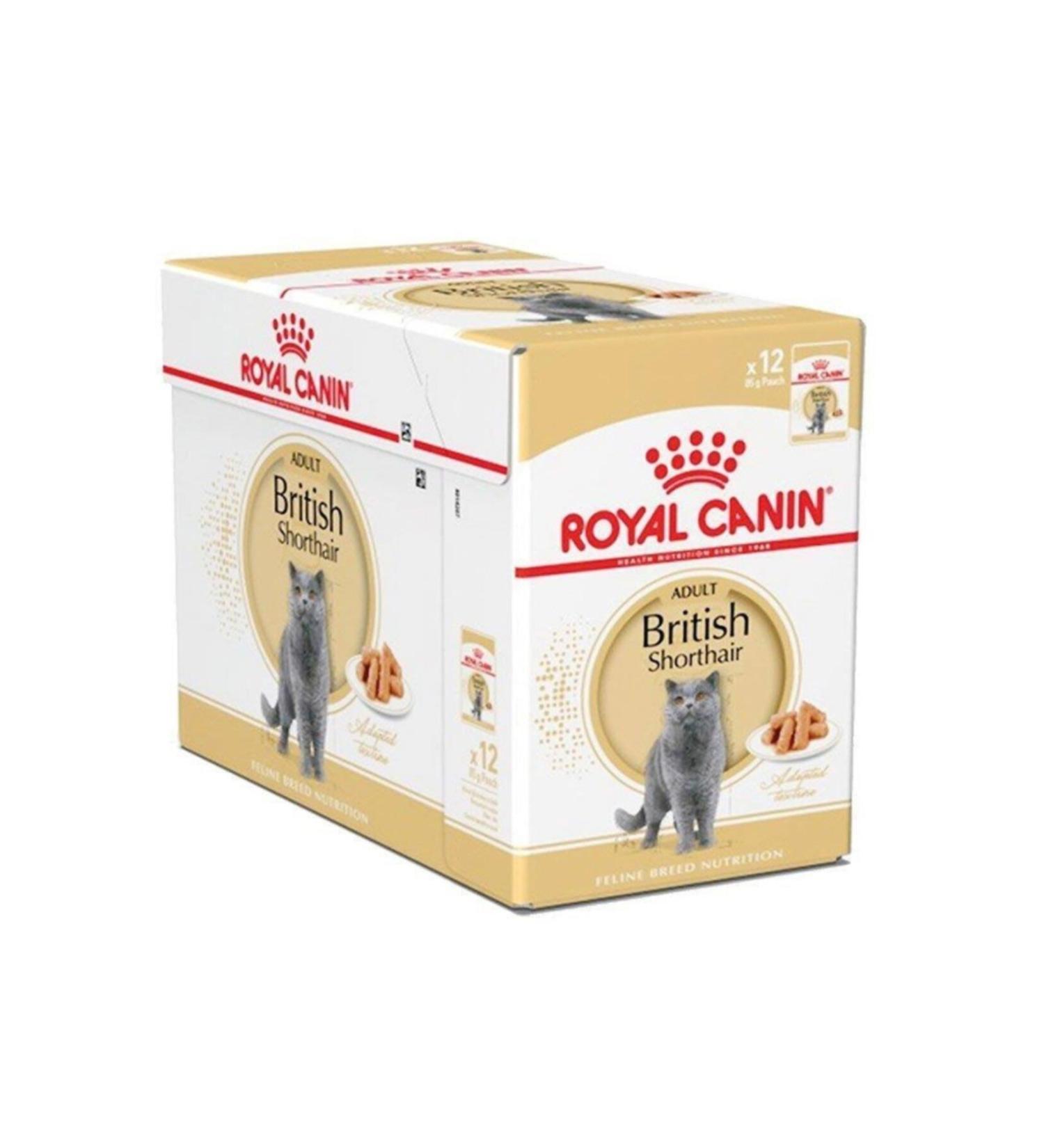 Royal Canin British Shorthair Pouch Cat Wet Food 85 Gr 24 Pieces