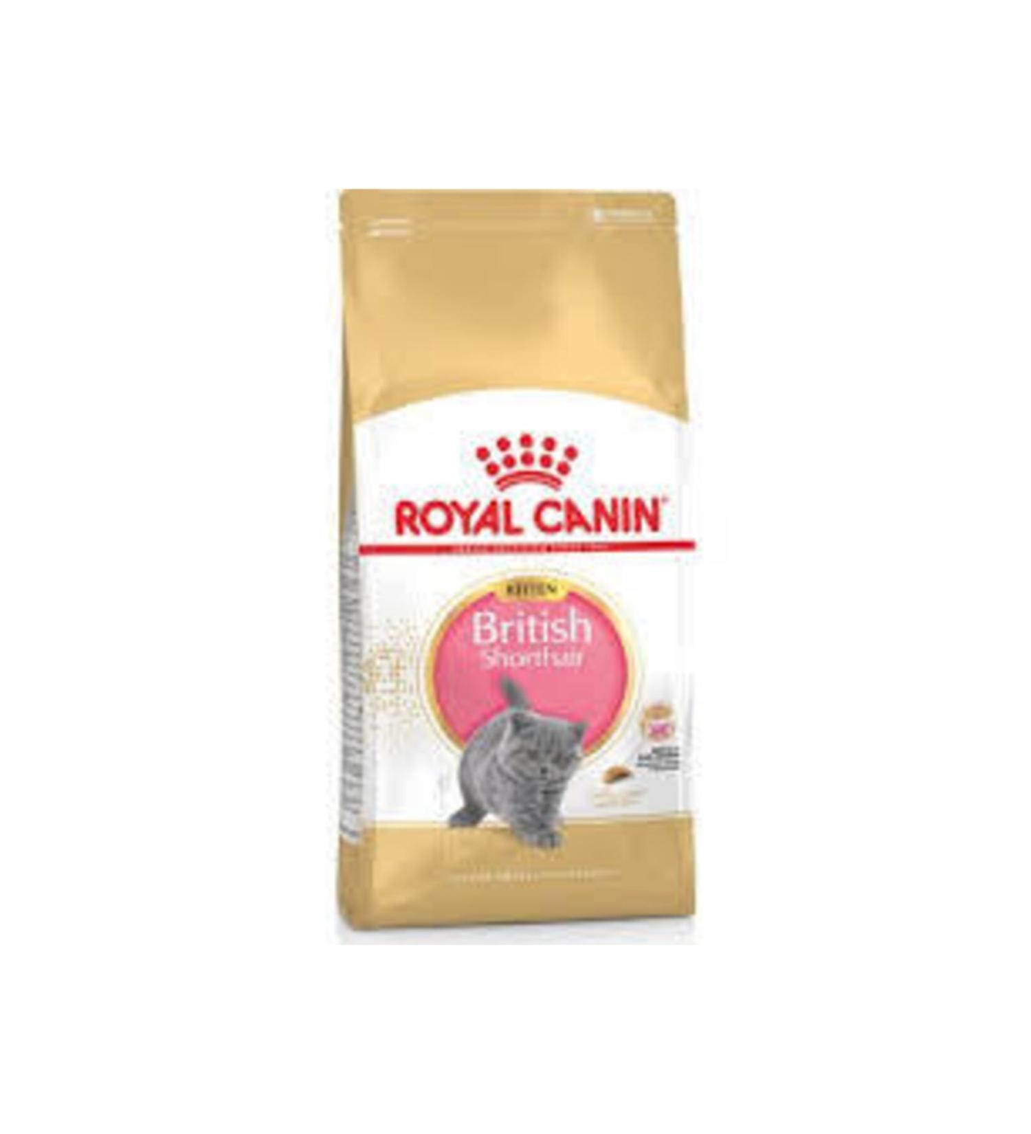 Royal Canin British Shorthair Kitten Special Breed Food 2kg
