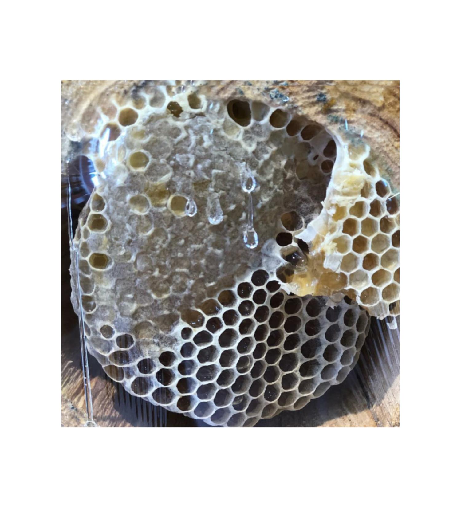 King Gurme Erzurum Plateau Karakovan Honey 400-550gr