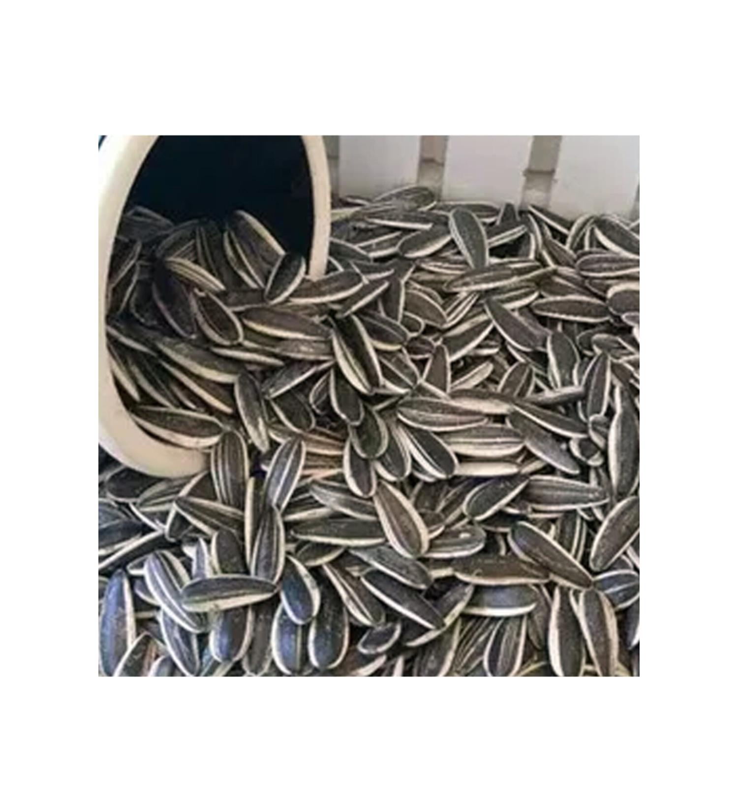 AbbasShop Salted Roasted Dakota Kernel 5 Kg The More You Eat The More You Get Coarse Grain