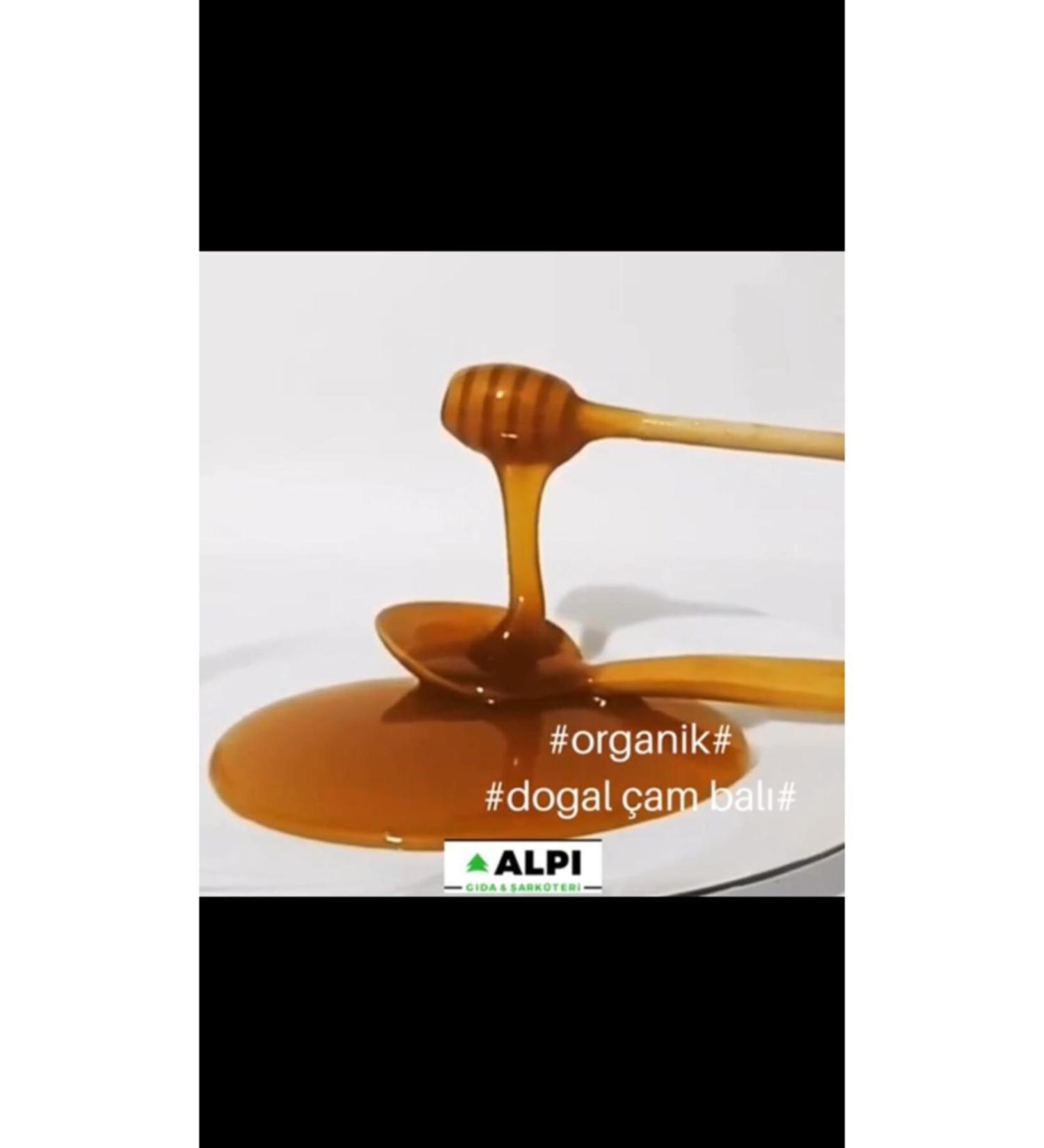 ALPI GIDA DELICATESSEN Afyon Kocatepe Organic Pine Honey 600gr