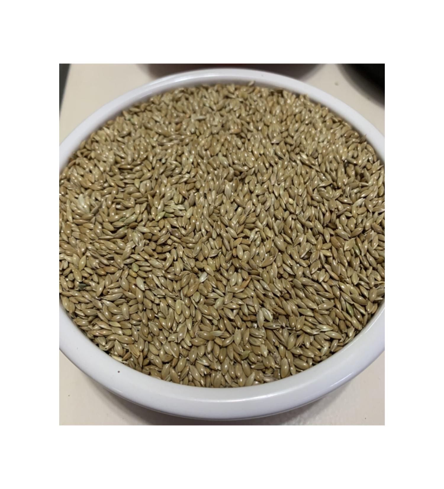 Vivid Plain Canary (aspur) 10 Kg