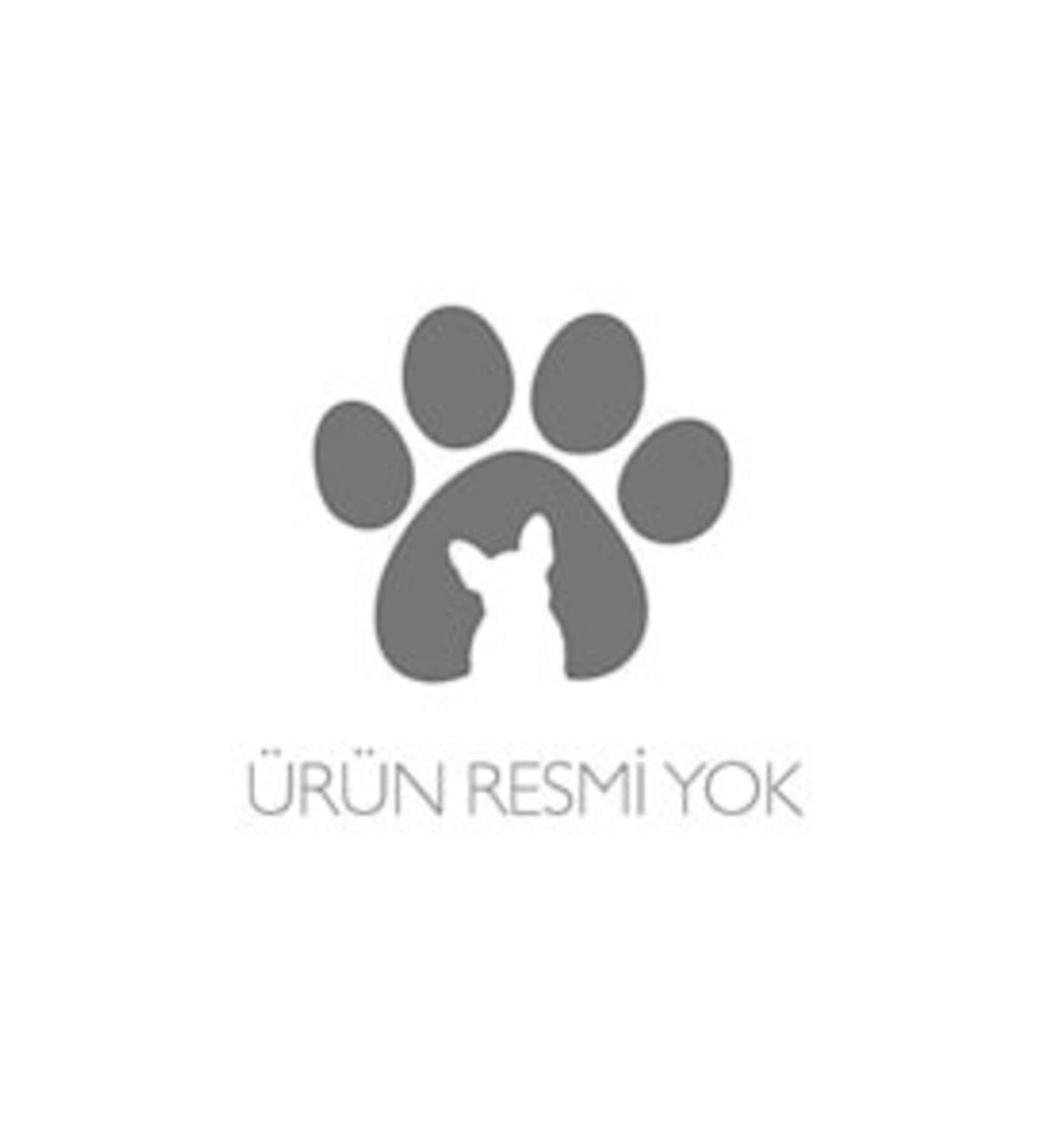 Royal Canin Exigent Mini Adult Dog Food 3kg