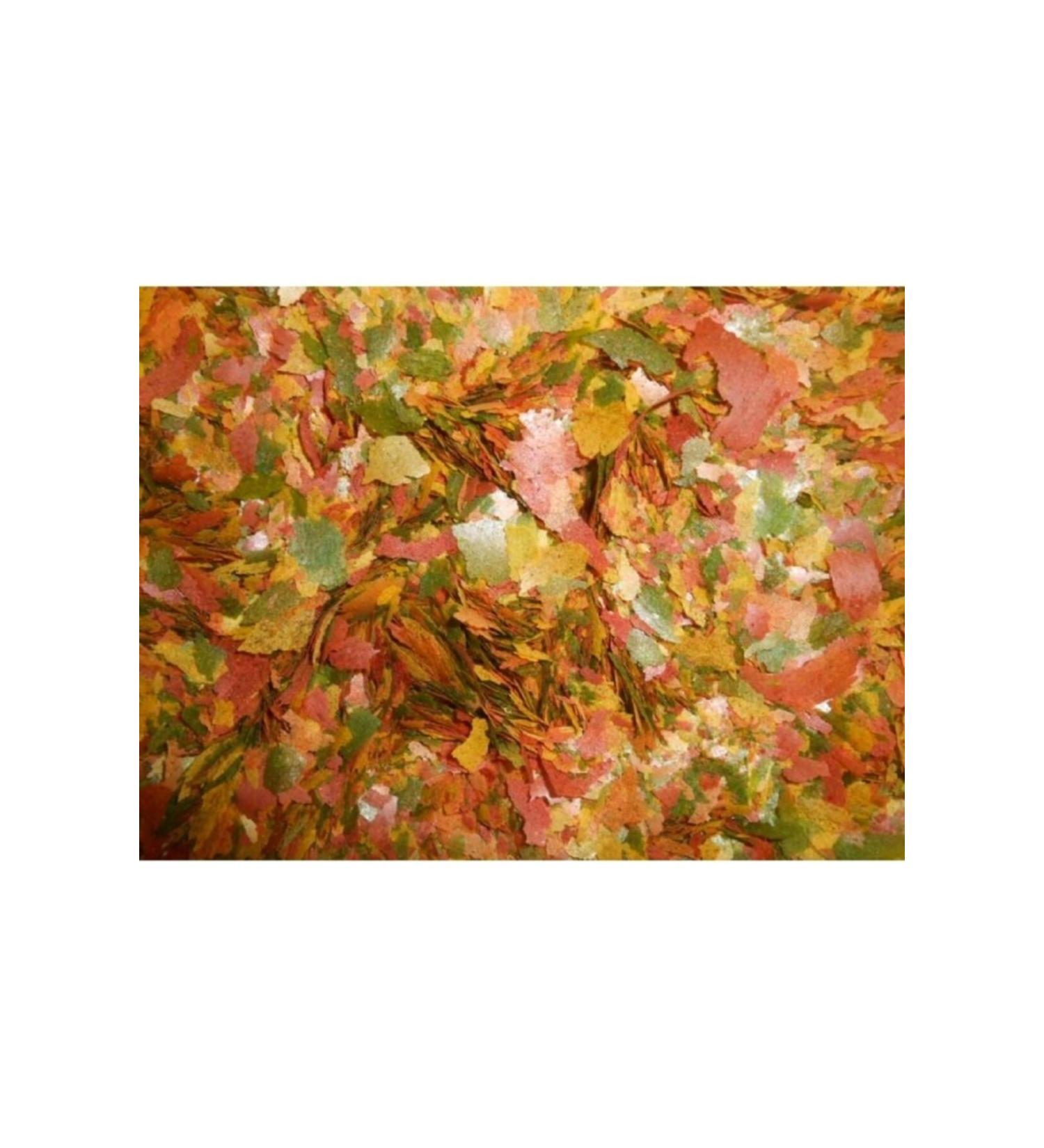 Ahm Flake Food for Tropical Fish 100 Grams