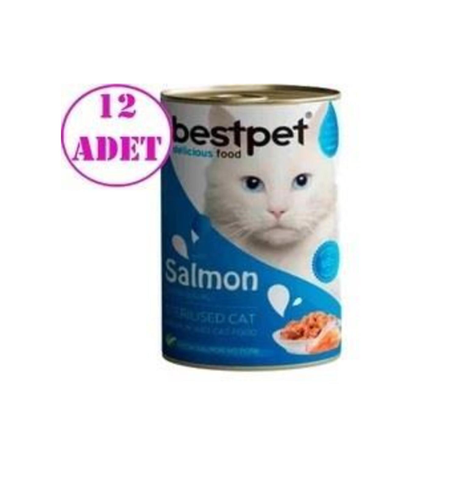 Bestpet 12 Pieces Salmon Jelly Adult Cat Canned Food 400 Gr