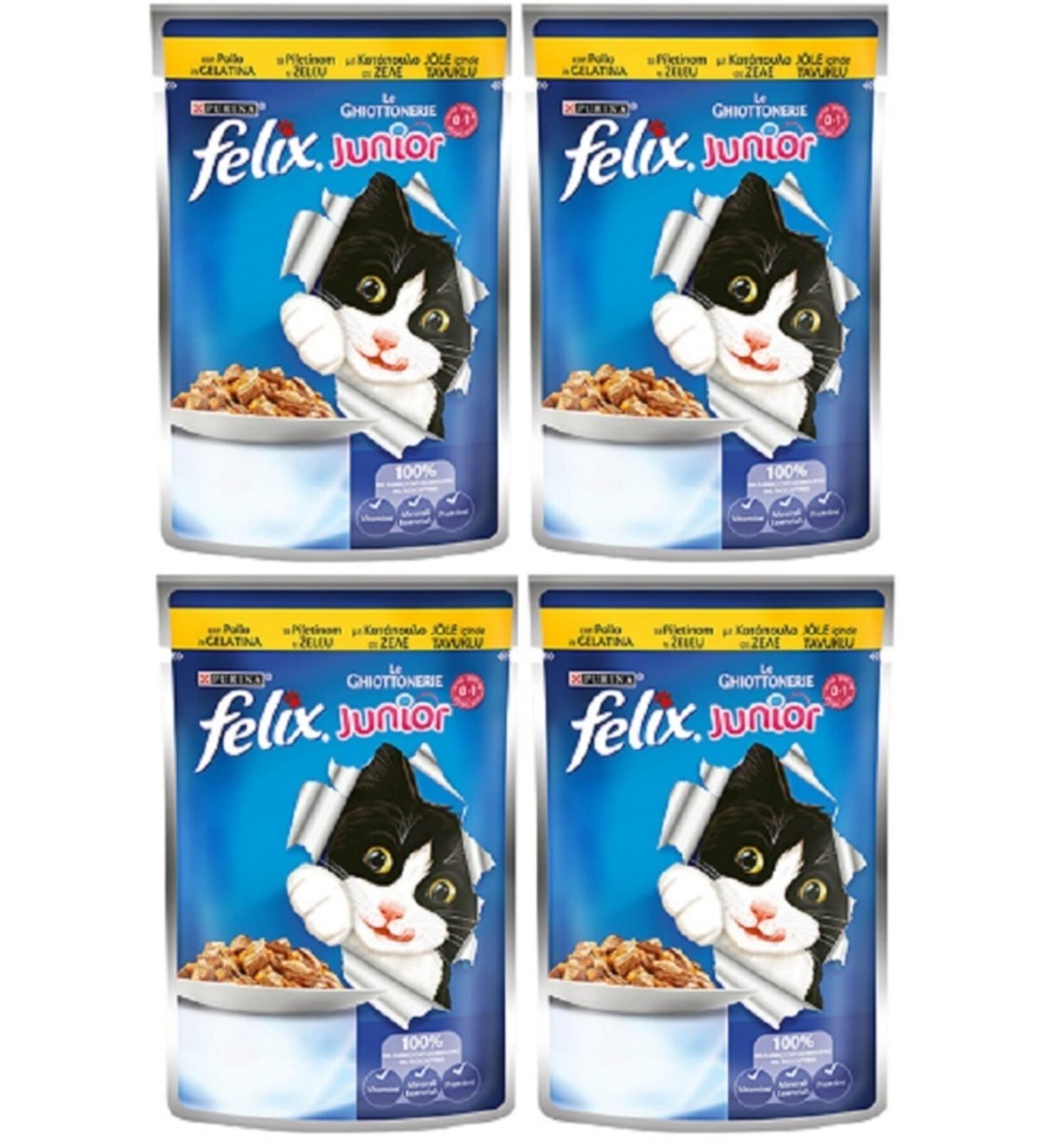 FELIX 4 Pieces Felix Junior 100 Gr Chicken Meat Kitten Cat Food