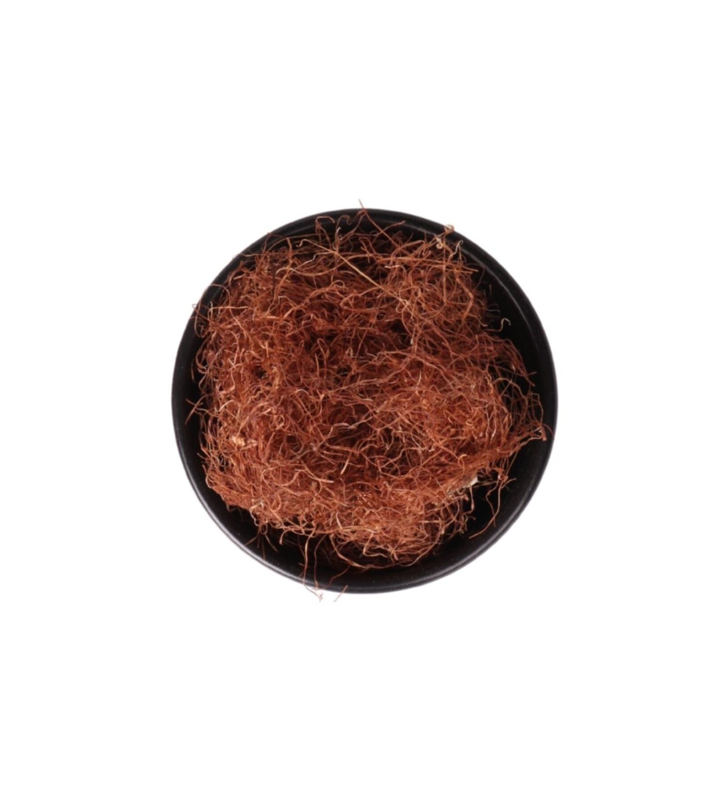 Ancient Egyptian Tassel 500 Gr