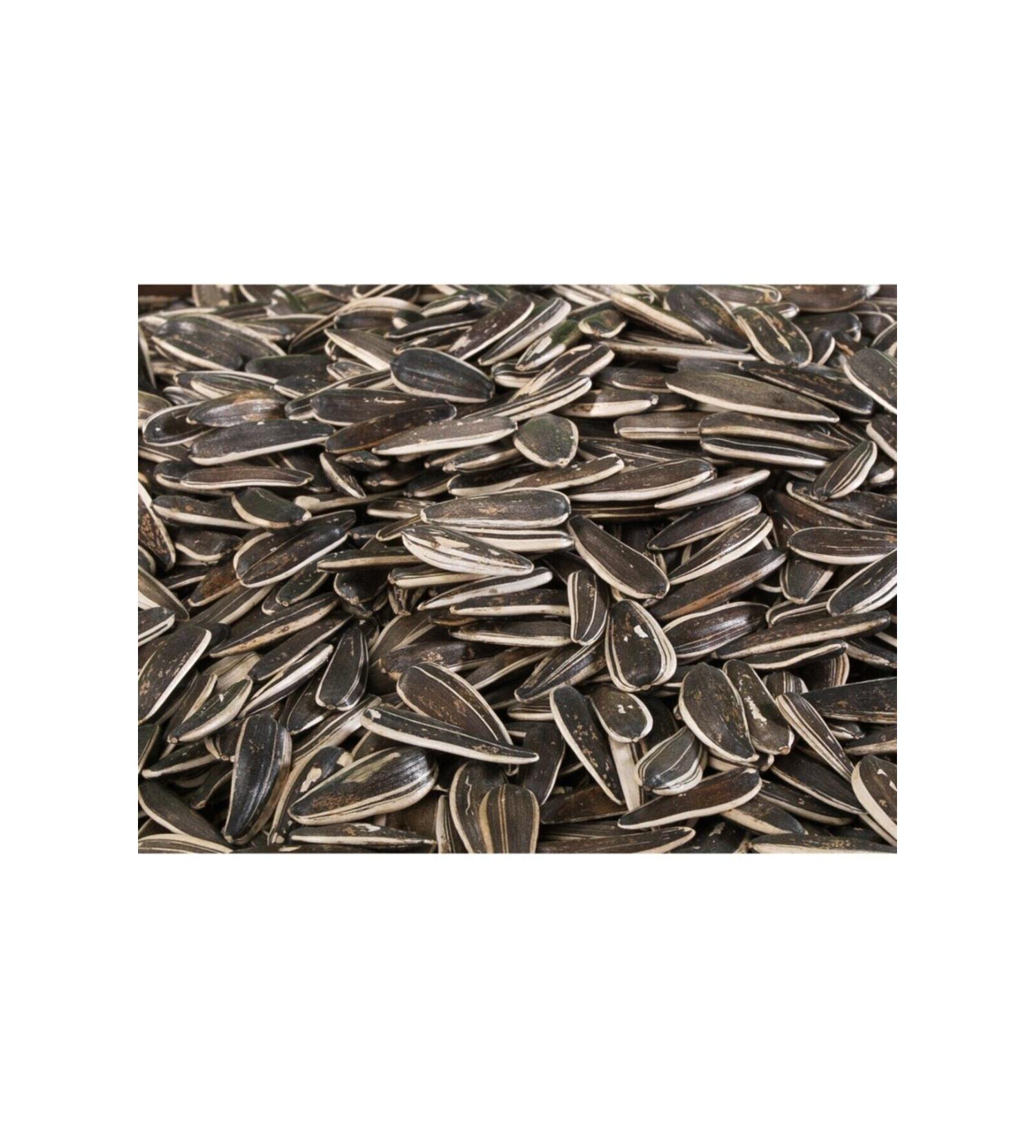 Black Almond Bean 1 Kg Unsalted Roasted