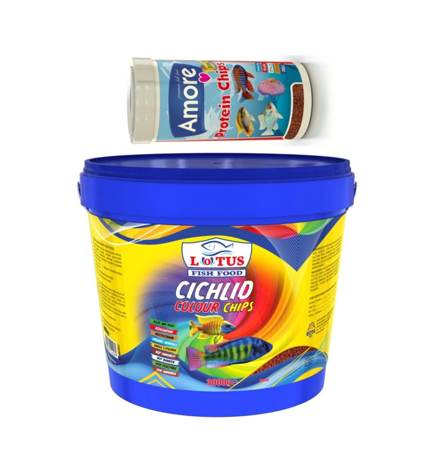 Lotus Cichlid Colour Chips Bucket + Amore Pro Protein Chips 250 Ml Box Malawi Colouring Fish Food