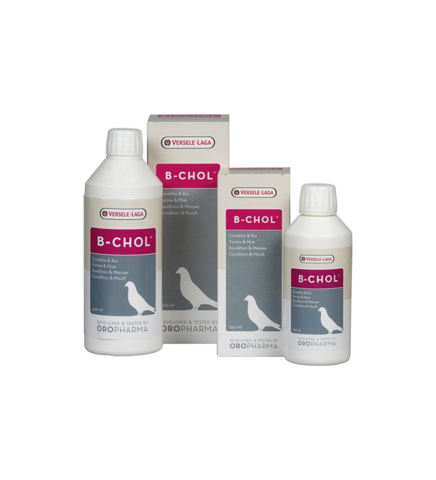 Versele Laga V.laga Or.b-cholpigeon Protect Liver Health 500m