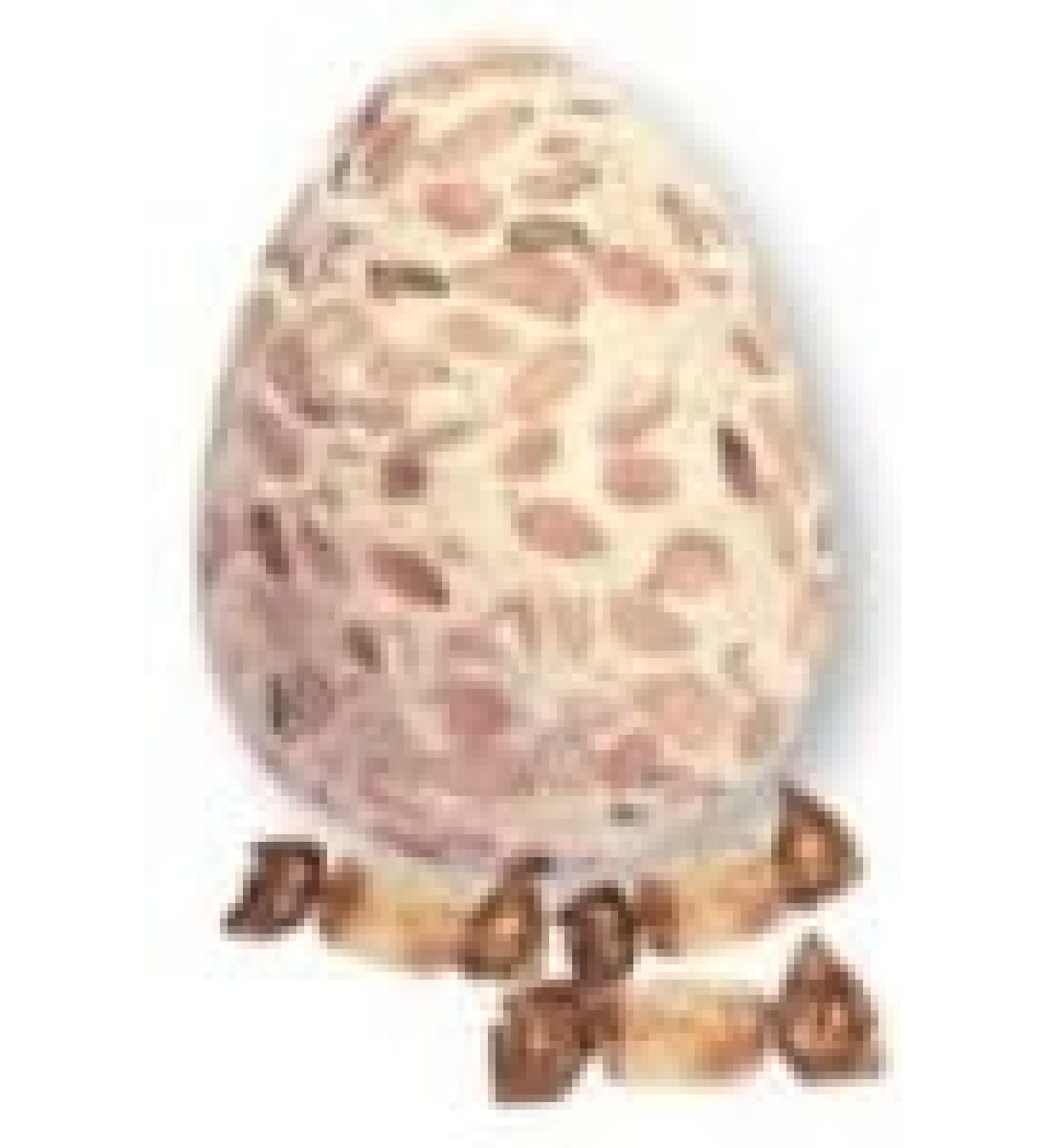Soft nougat Easter egg, 120gr