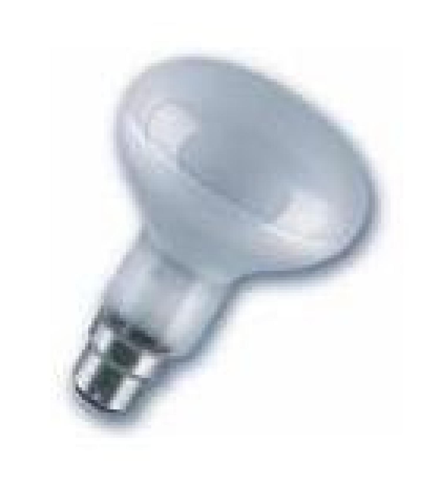 ProRep BC Basking Spotlamp 100 Watt