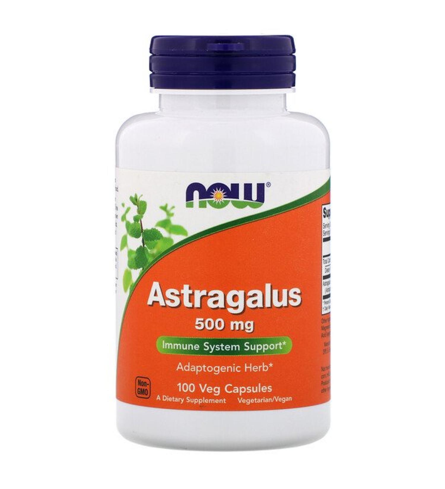 Now Foods Astragalus 500 mg 100 Veg Capsules