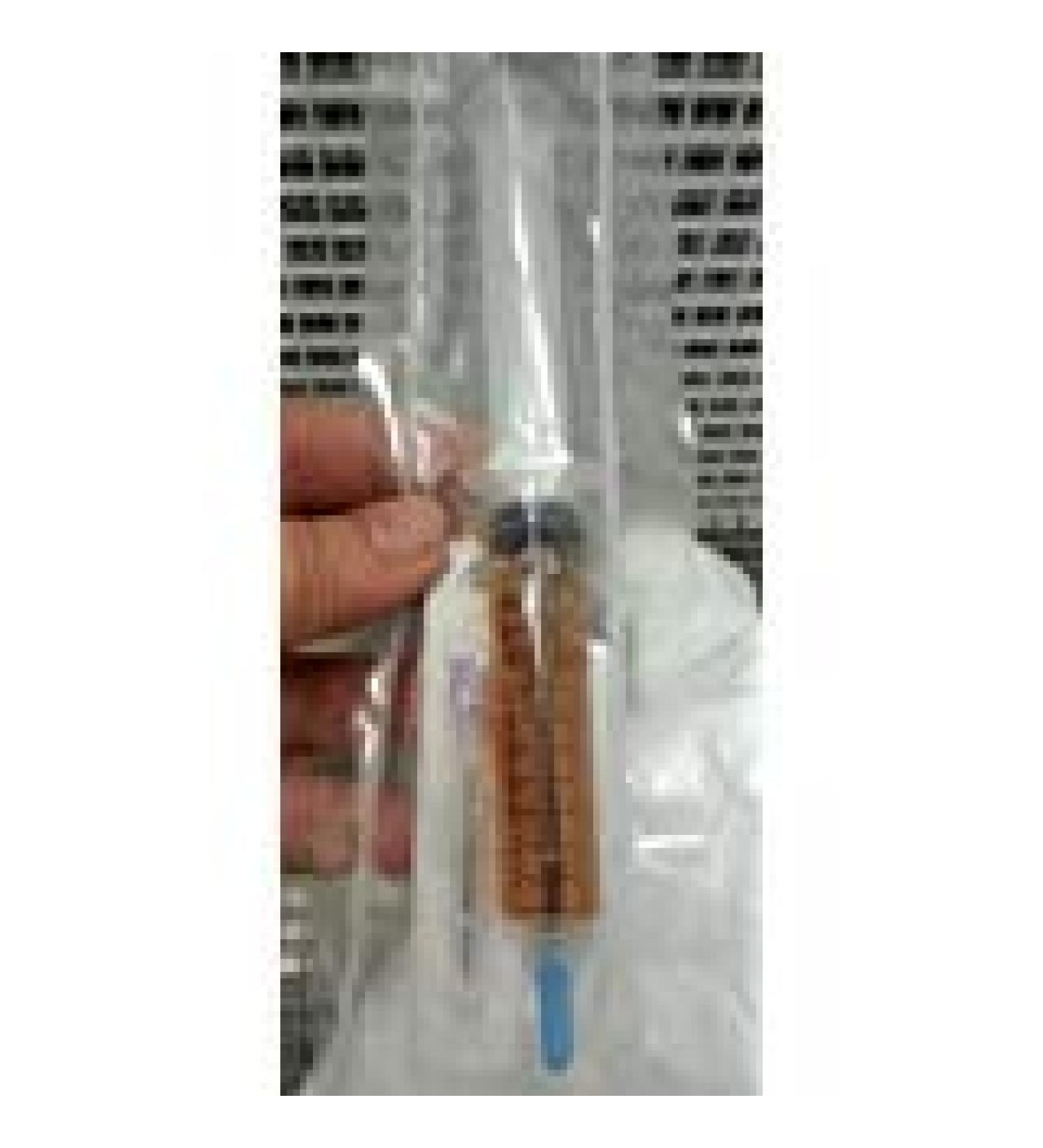 Mushroom Man LLC Lion's Mane - Hericium erinaceus Mushroom Liquid Culture