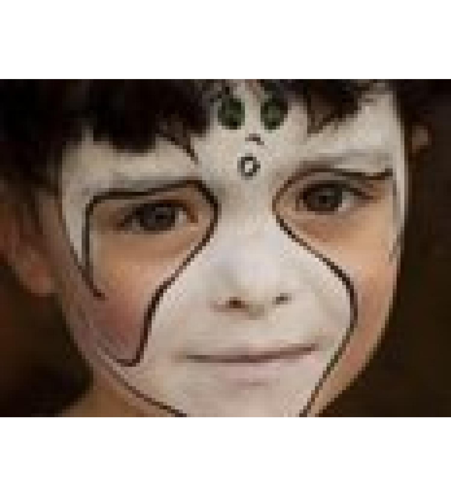 Premium Face Painting Set - Vibrant Colors & Easy Application for All Ages - International Shipping Available - Buy Online on GoSupps.com