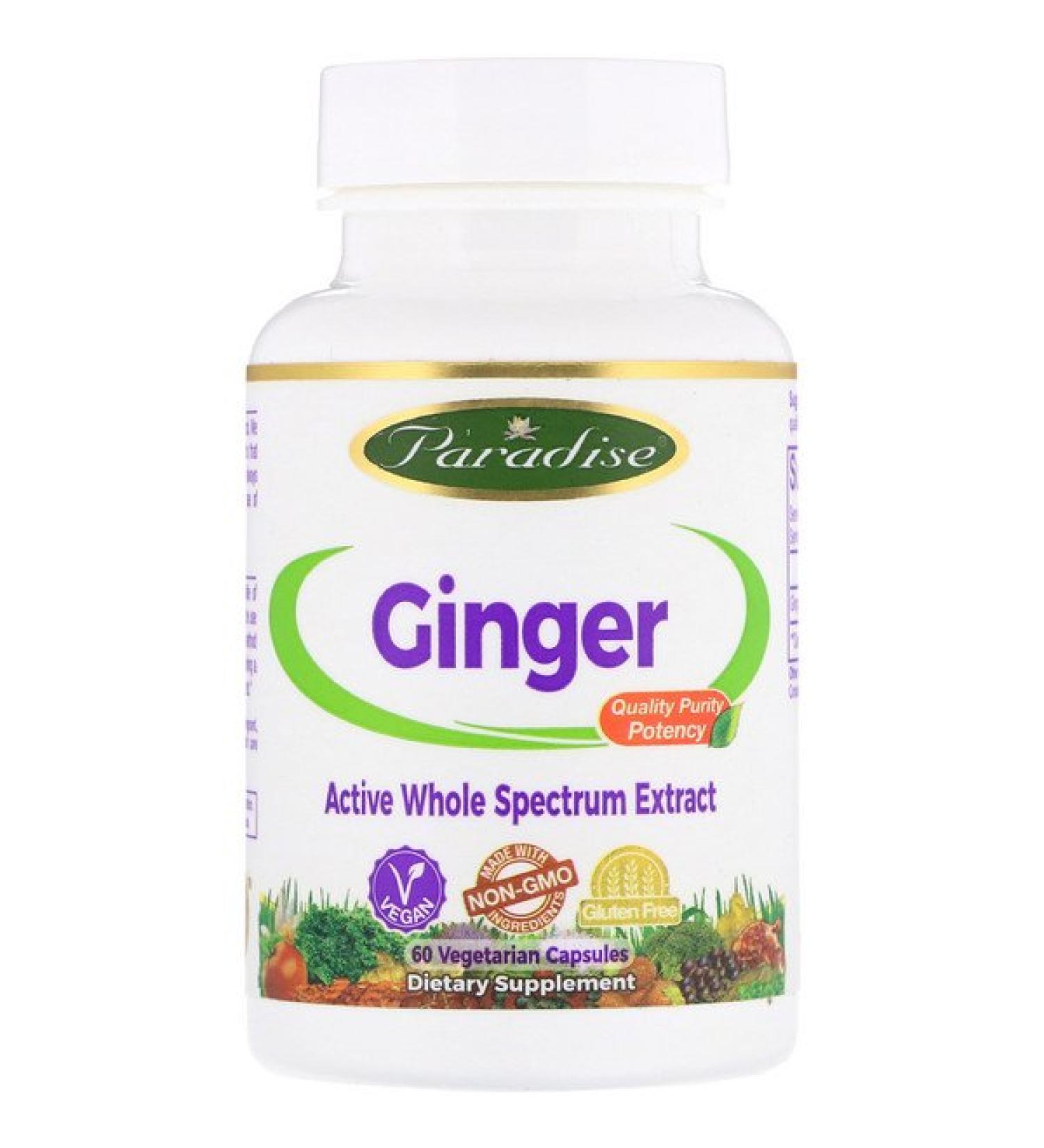 Paradise Herbs Ginger 60 Vegetarian Capsules