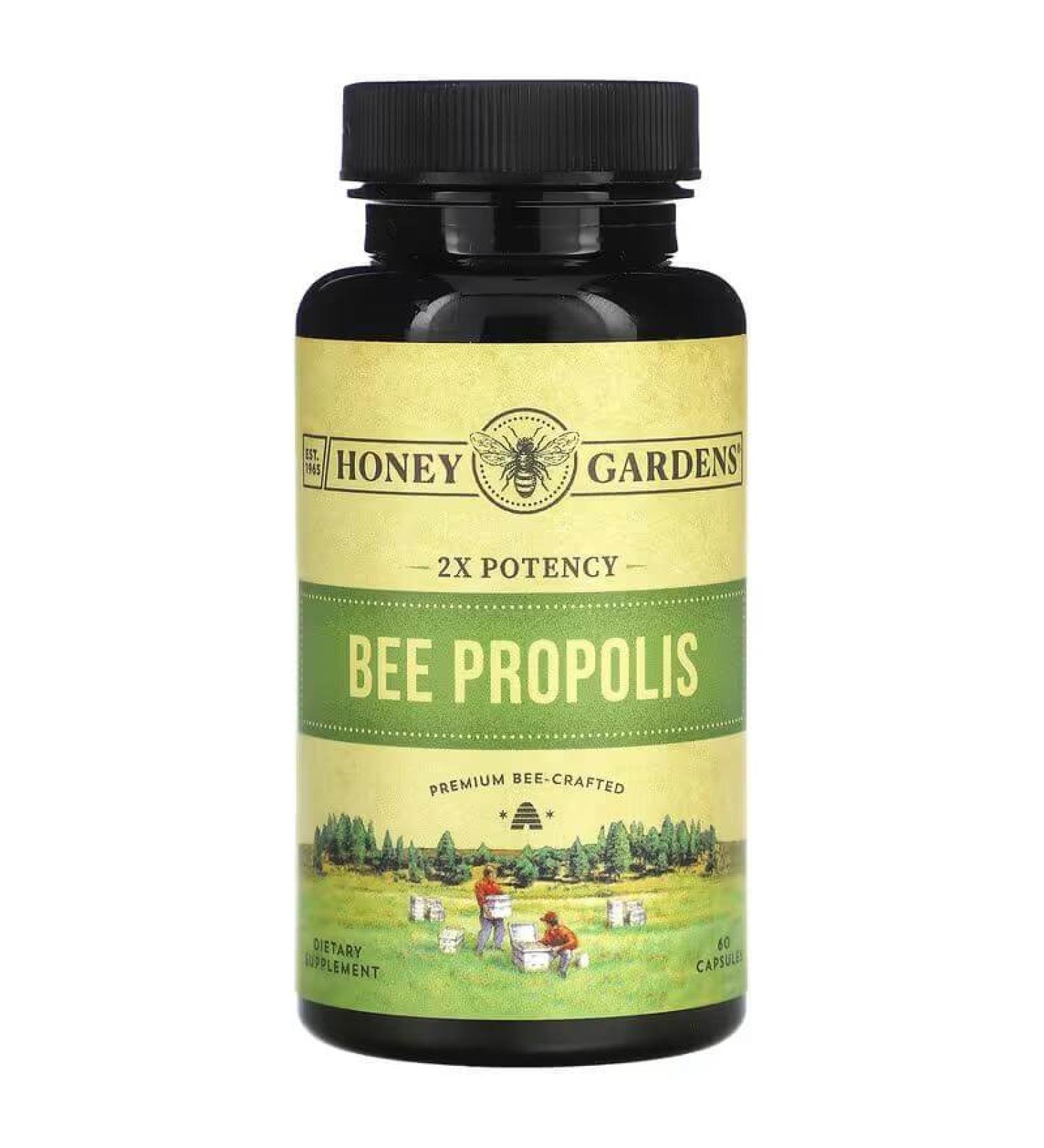Zand Bee Propolis Potency 60 Capsules - Pack Of 2 - Buy Online on GoSupps.com