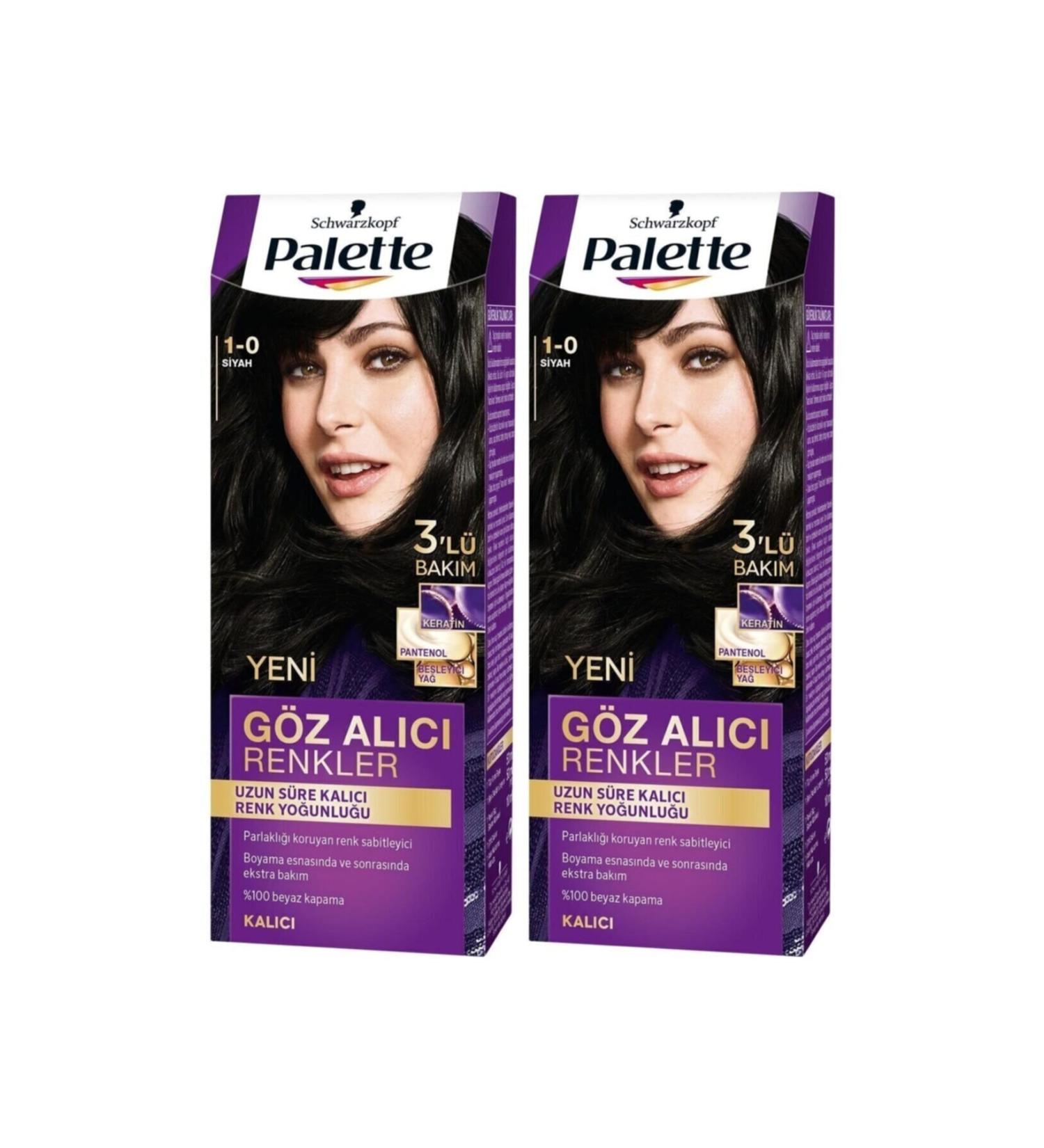 Palette Hair Dye Eye-Catching Colors 1-0 Black X 2 Pieces