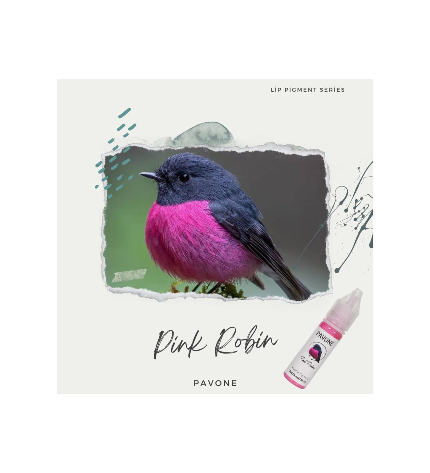 Pavone Permanent Makeup Hybrid Lip Pigment - Hybrid Lip Paint - - Buy Online on GoSupps.com