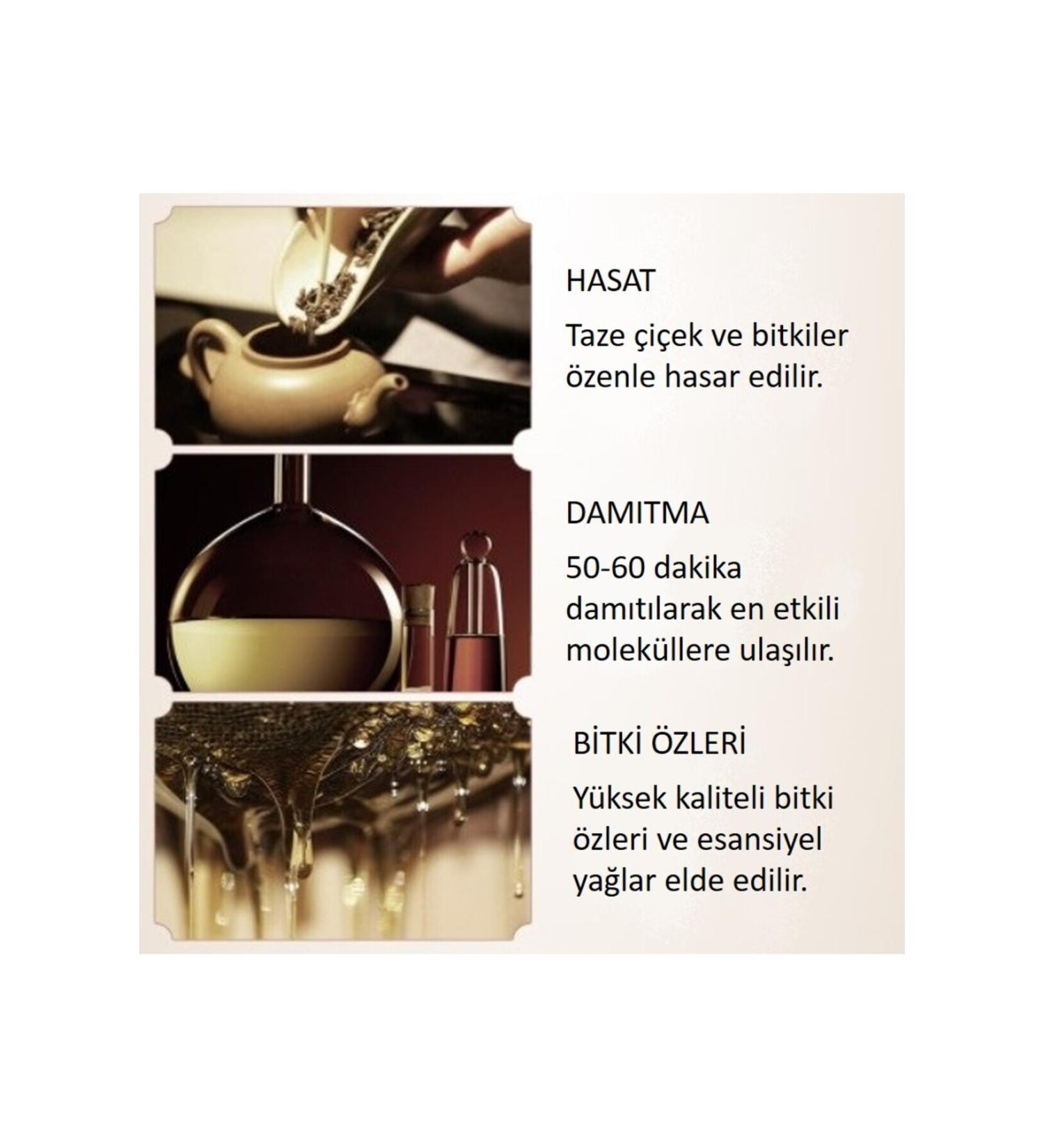 NeoStrata 0.3% pure retinol hyaluronic acid and neoglucosamine firming powerful night serum 30ml