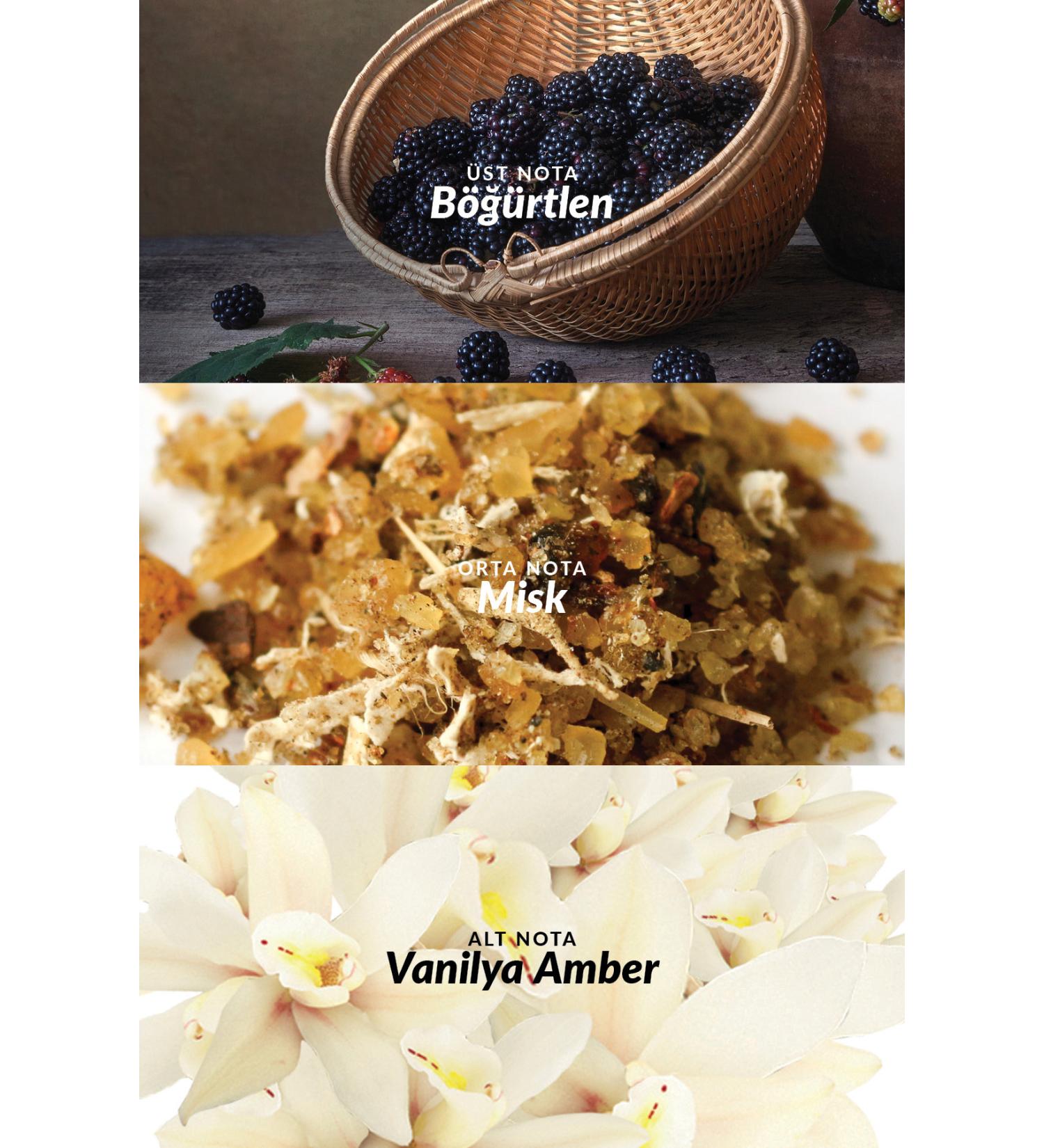 L'Occitane OSMANTHUS SHOWER GEL - OSMANTHUS SHOWER GEL - 250 ML DEMBA2632