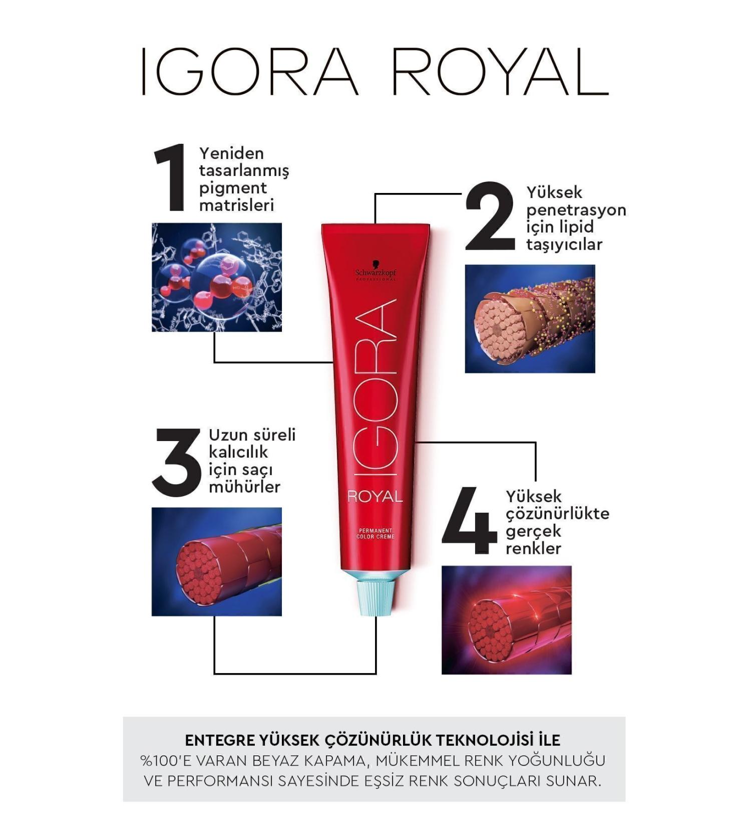 Igora Royal Ash Tones 8-11 Light Blonde Intense Sandre Hair Dye 60ml - Buy Online on GoSupps.com