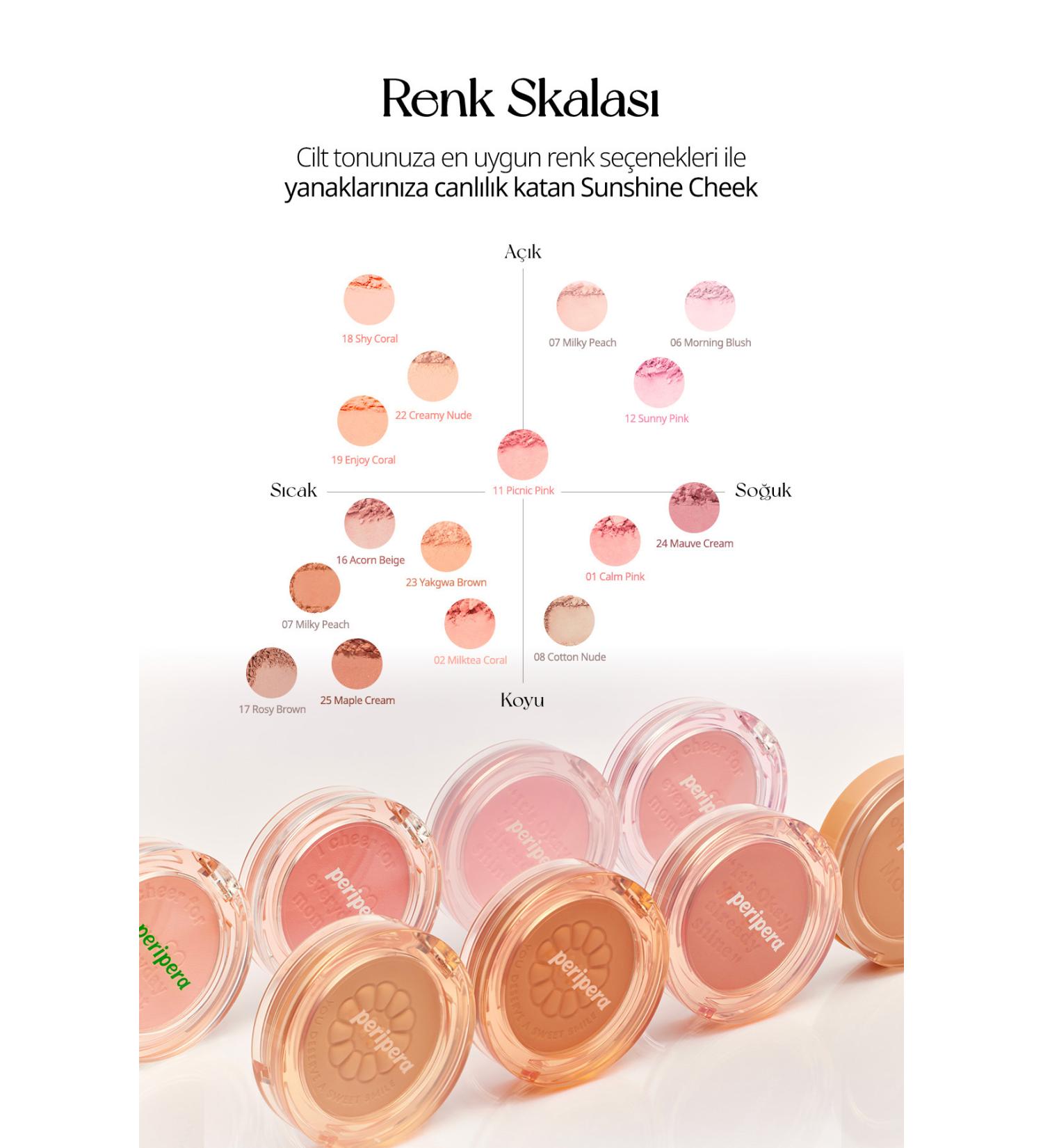 Farmasi Creamy Lipstick 05 Rosewood 4 gr - Buy Online on GoSupps.com