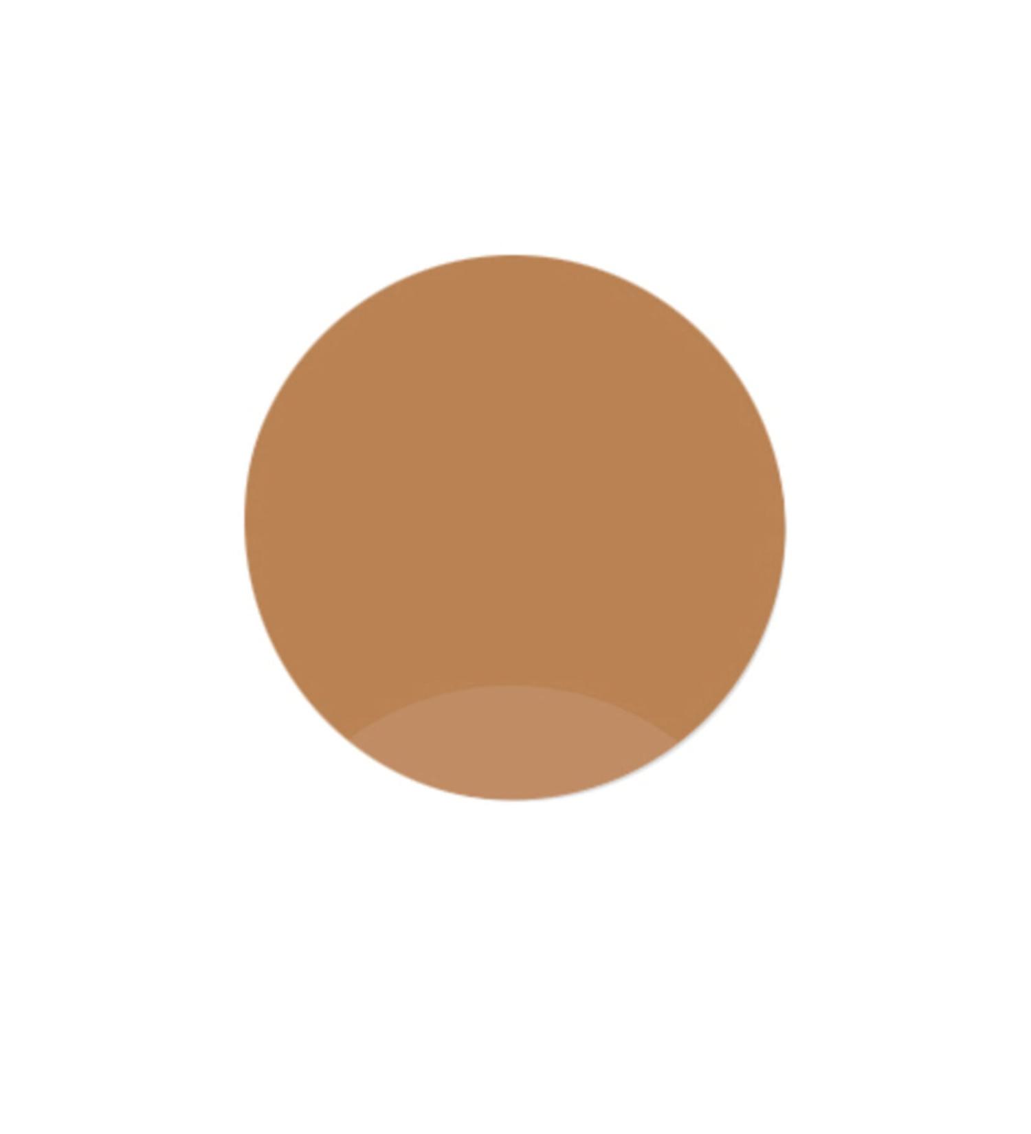 ROSEVELT Permanent Makeup Dye 213 Ice Coffee Permanent Makeup Eyebrow Dye