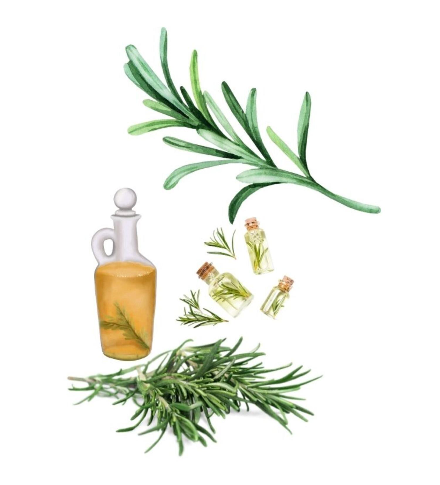 The Organic Pharmacy Rose Plus Brightening Complex Rose Brightening 35 Ml