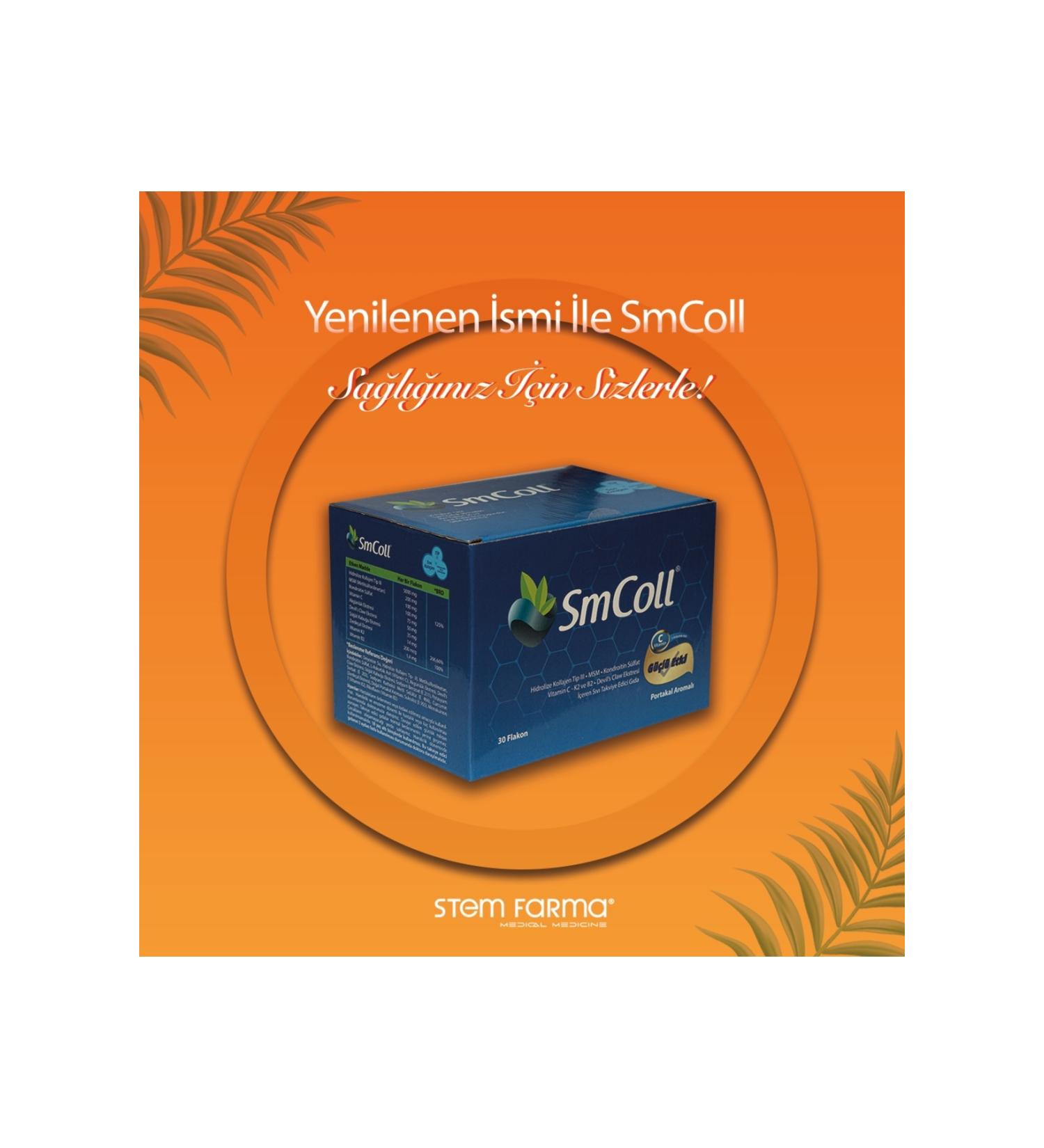 Tunali Lokman Hekim Powder Reishi Mushroom 20 Gr (ganoderma Lucidum)